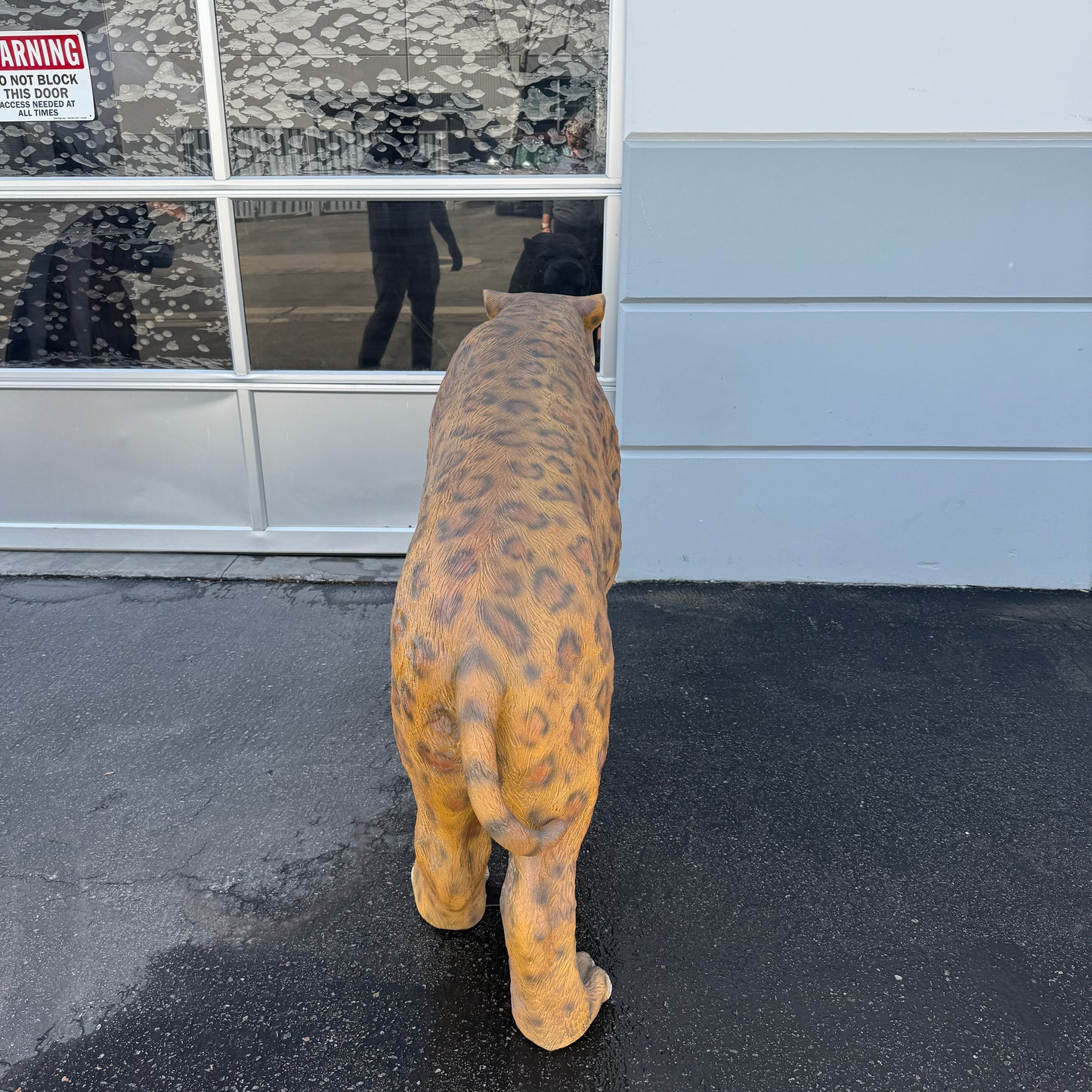 Smilodon Saber Tooth Statue