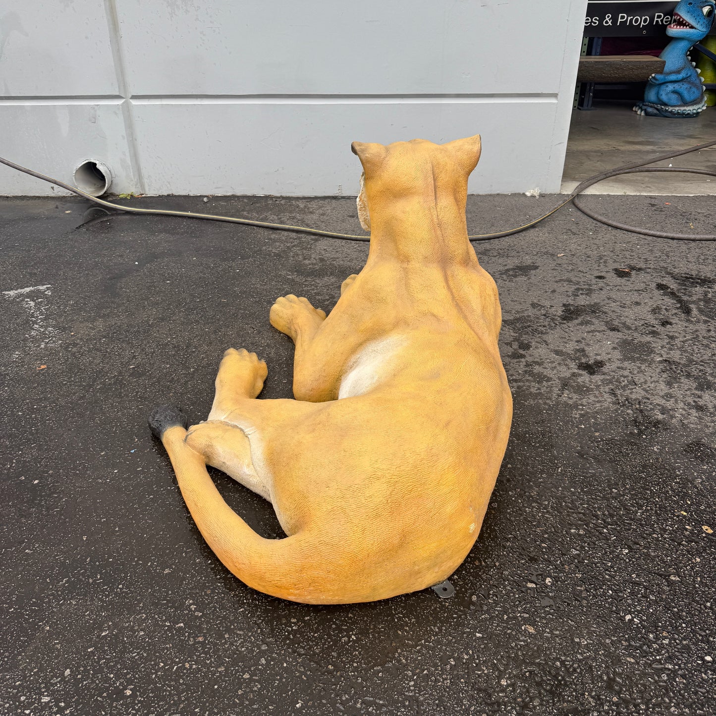 Laying Lioness Life Size Statue