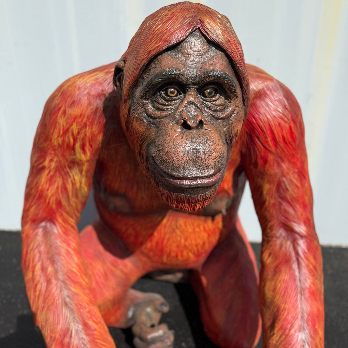 Orangutan Statue A0766-R014-PT