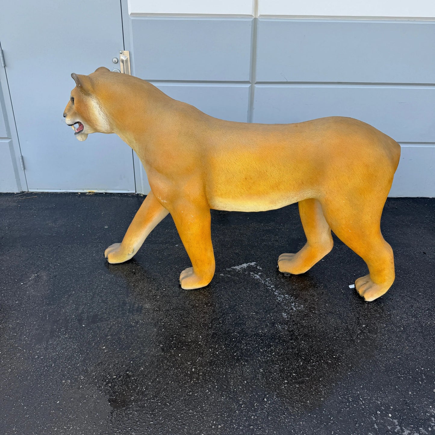 Walking Lioness Life Size Statue A0741-180220-H