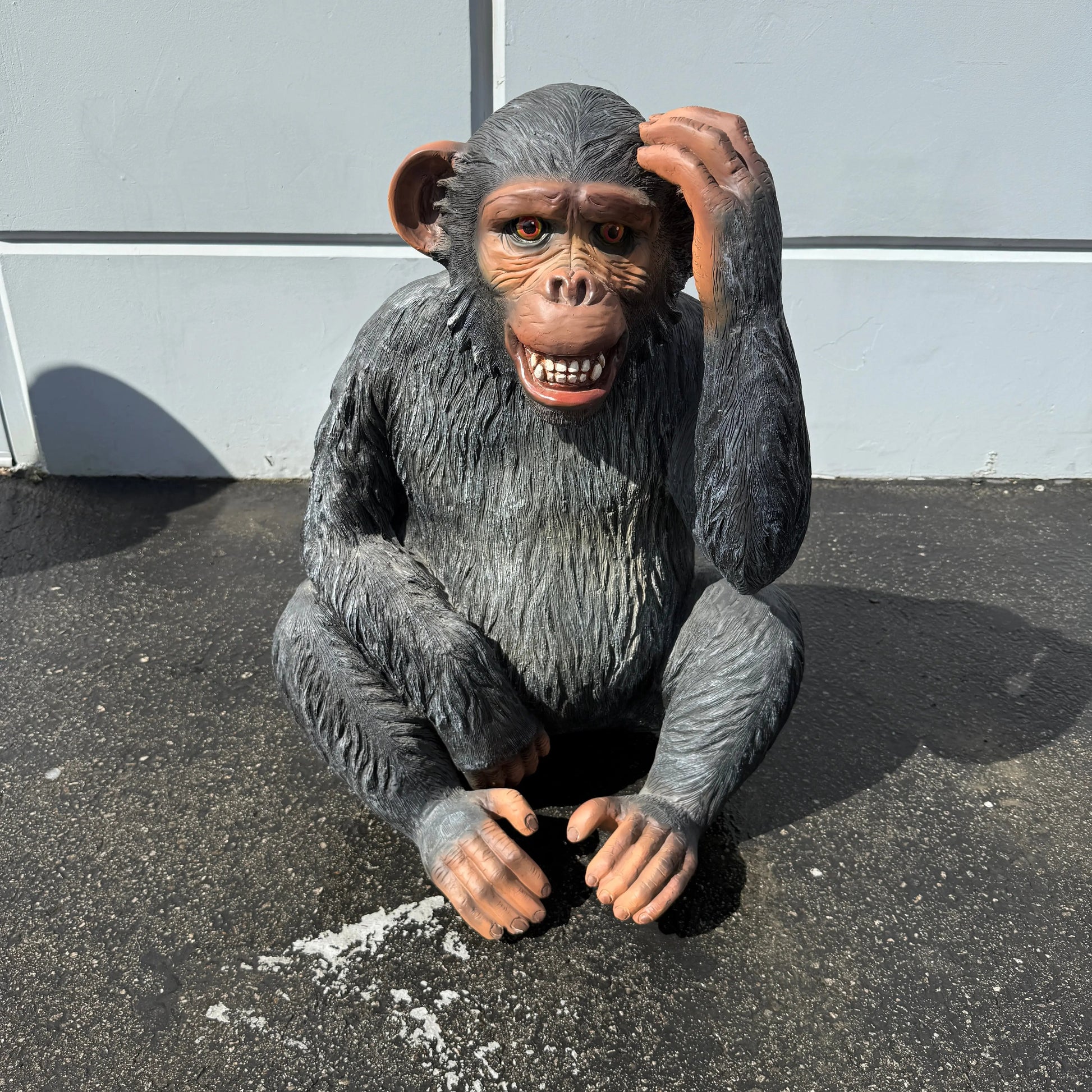 Monkey Max Statue A0721-R255-PT