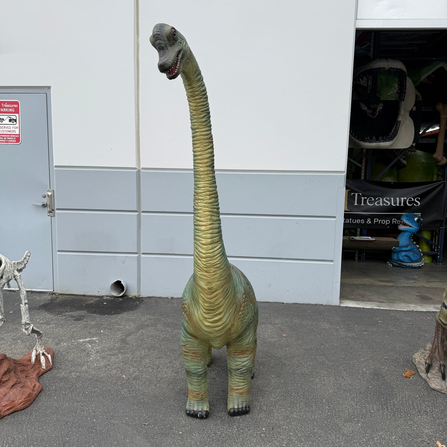 Baby Brachiosaurus Dinosaur Statue