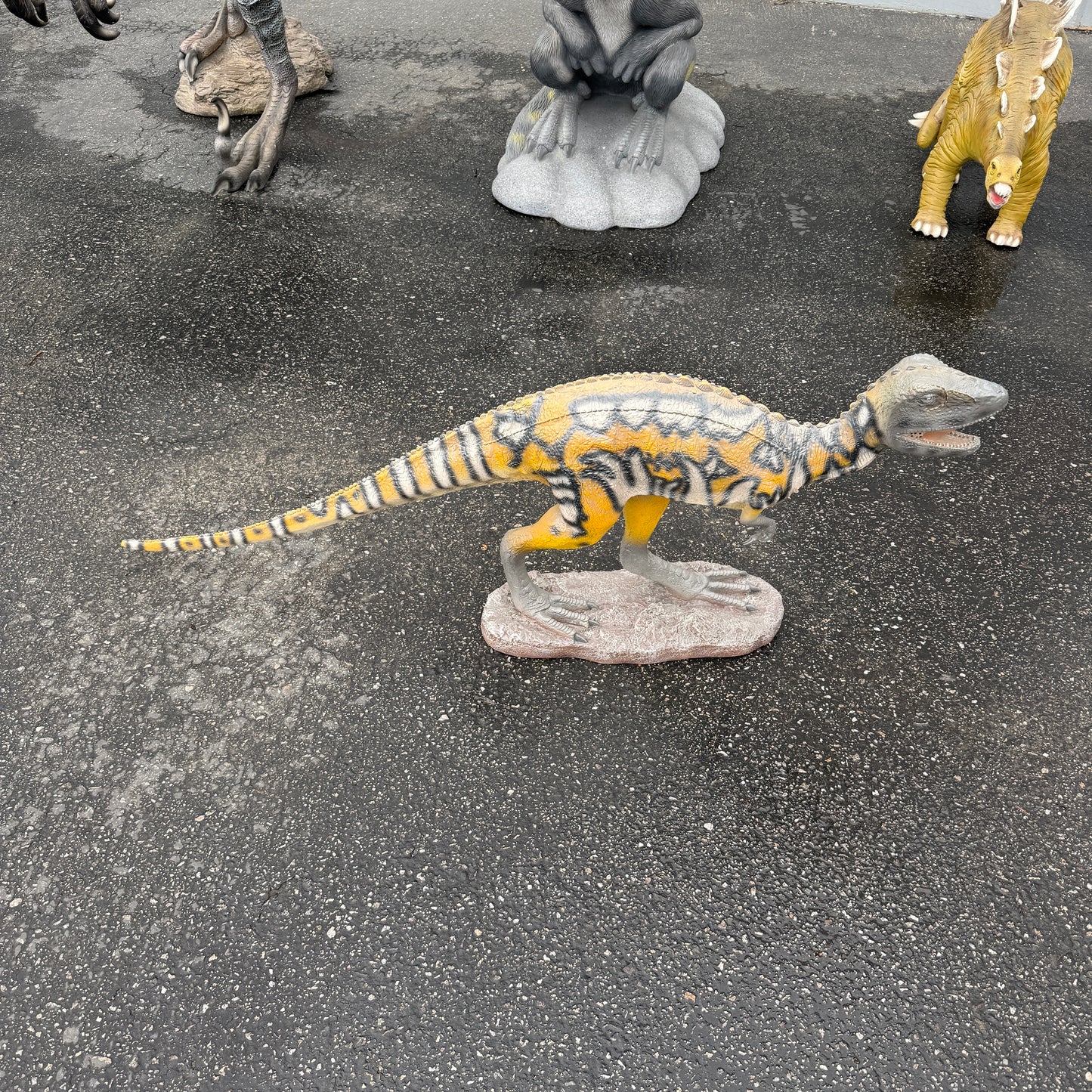 Baby Australovenator Life Size Statue