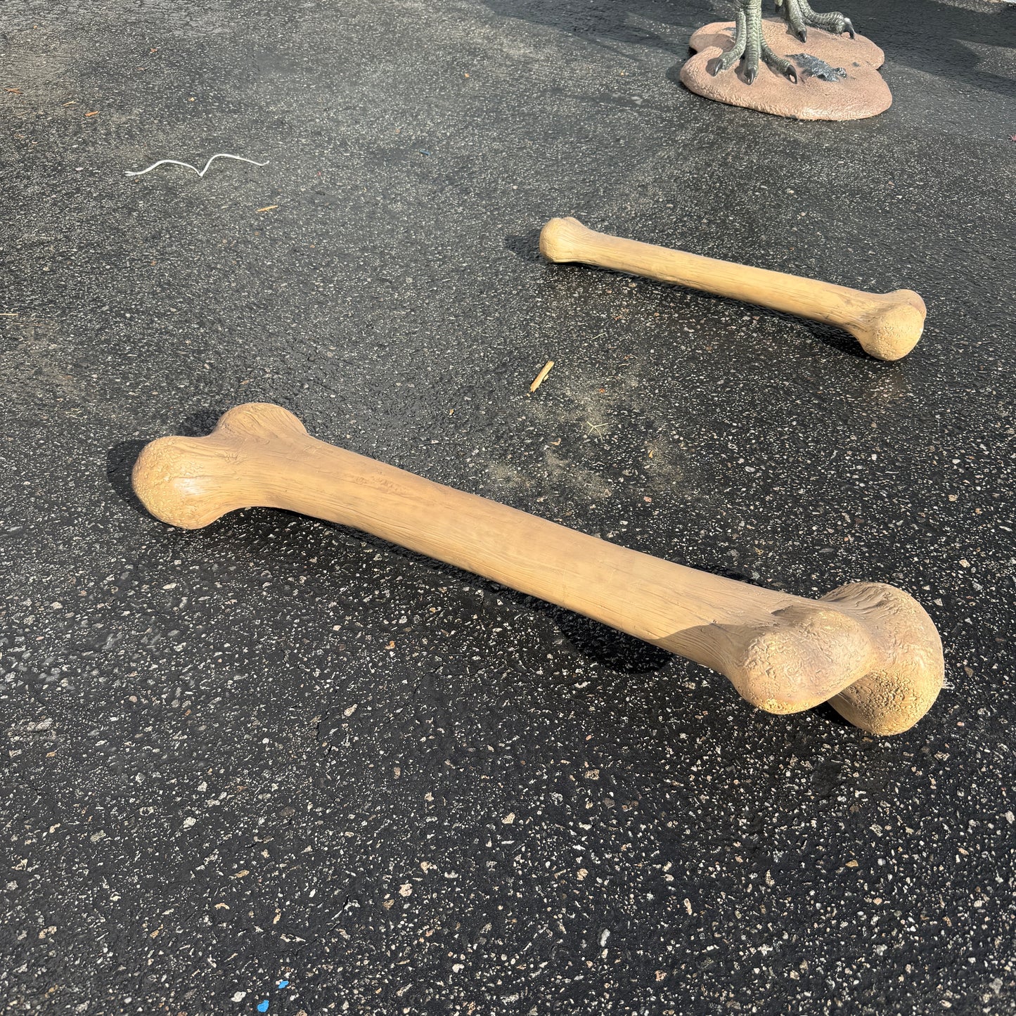 Large Dinosaur Bone Statue