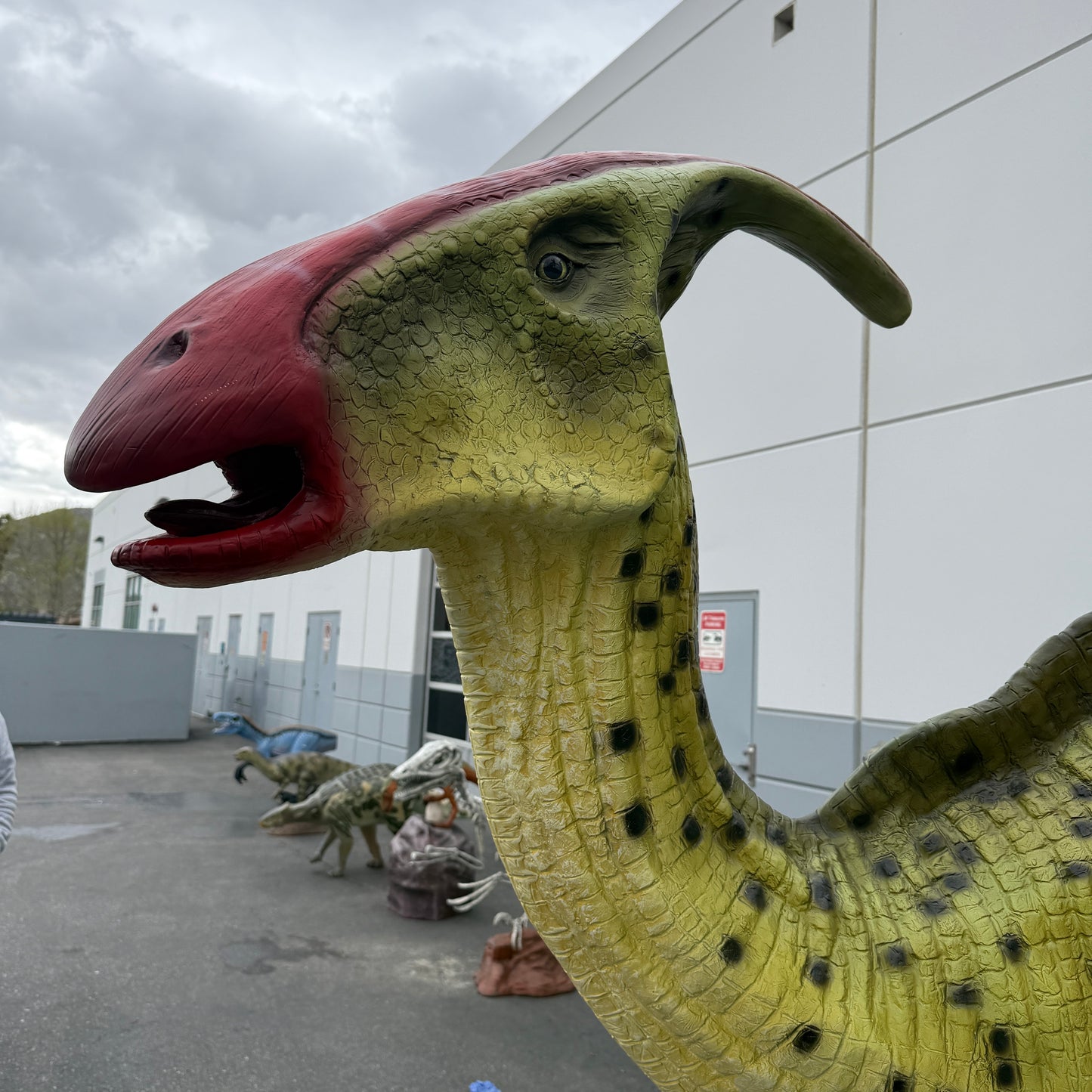 Parasaurolophus Dinosaur Life Size Statue