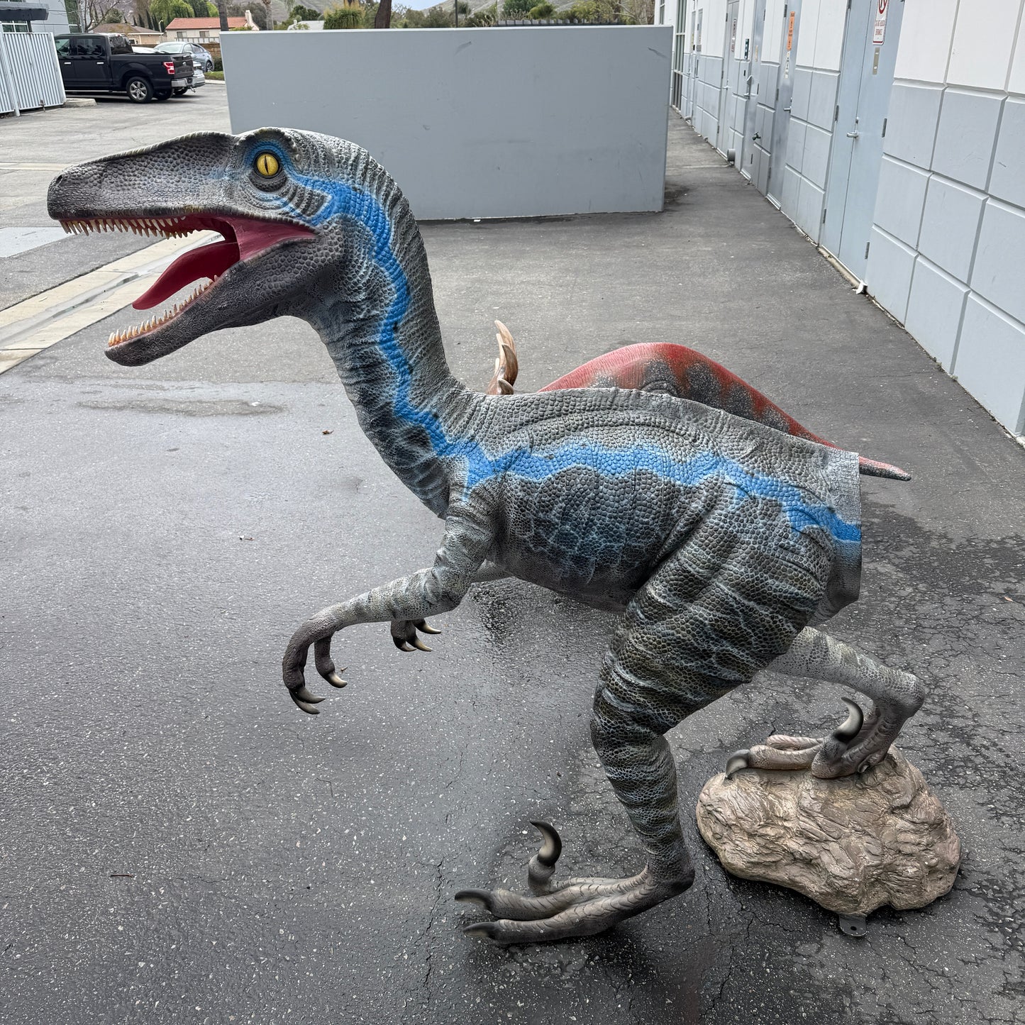 Blue Velociraptor Dinosaur Statue