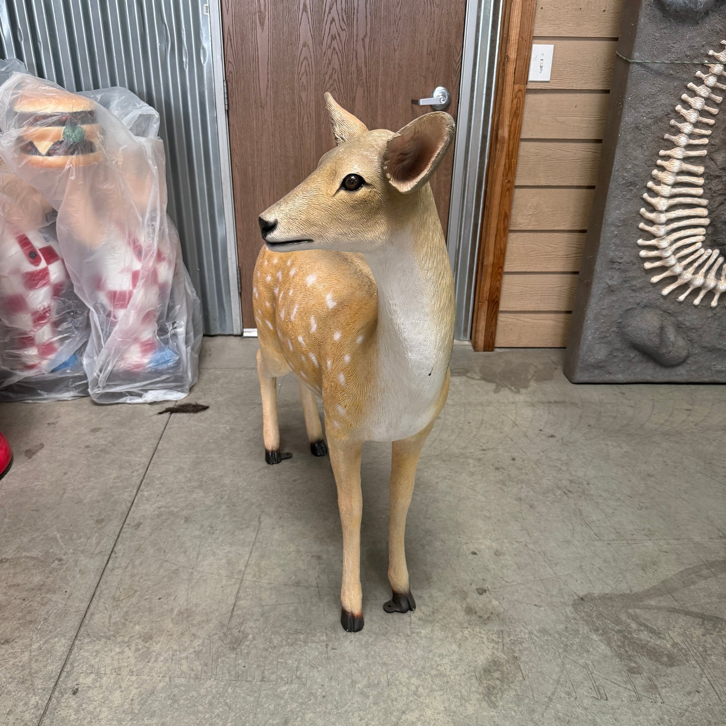 Baby Deer Standing Life Size Statue