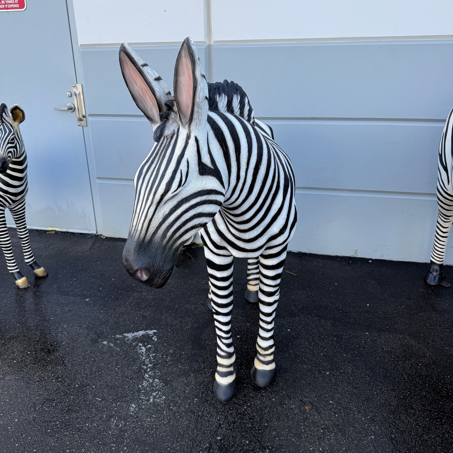 Standing Zebra Life Size Statue
