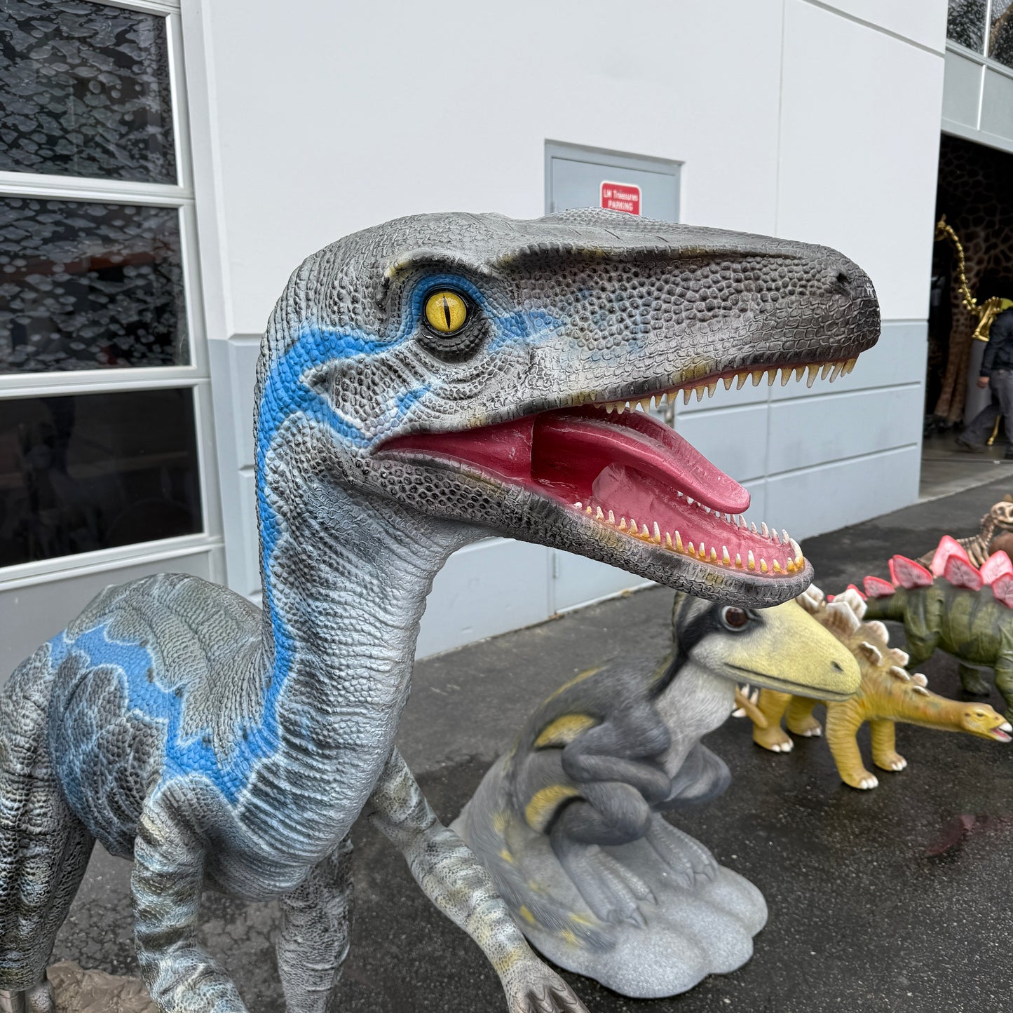 Blue Velociraptor Dinosaur Statue