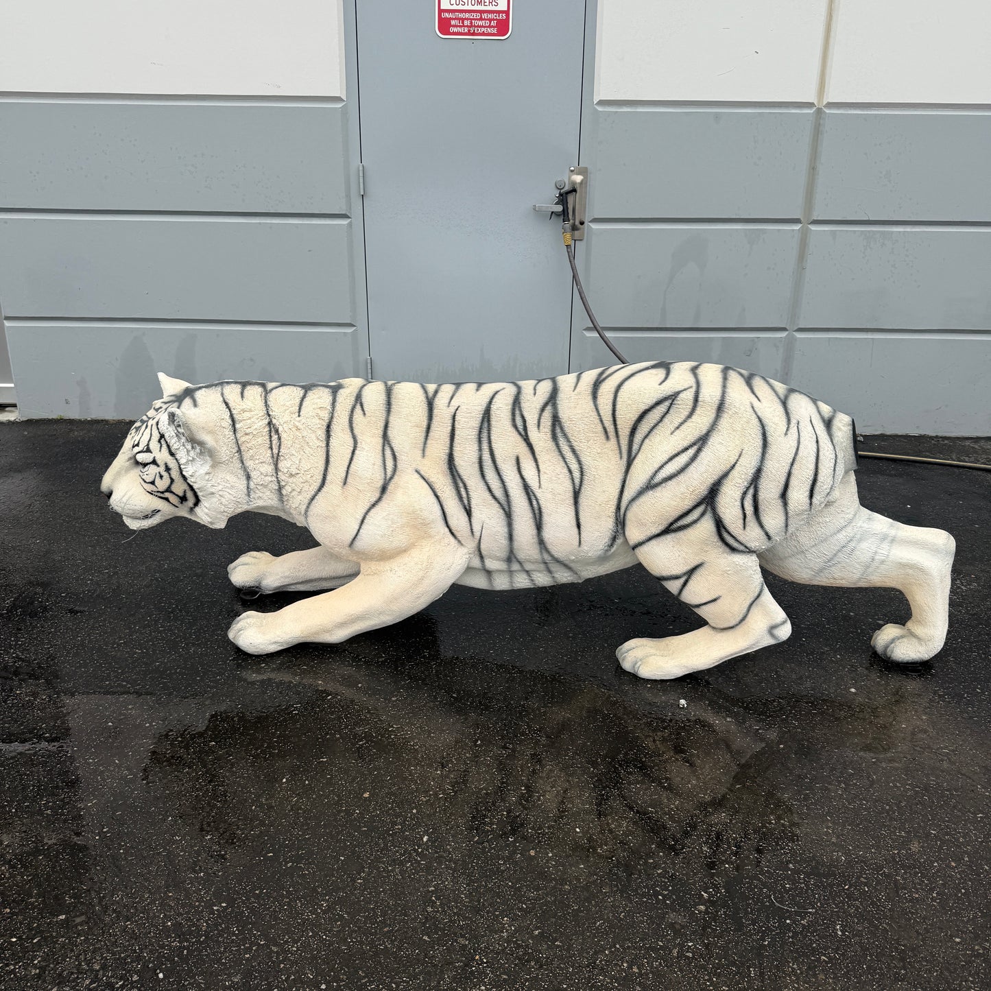 Crouching Siberian Tiger Statue