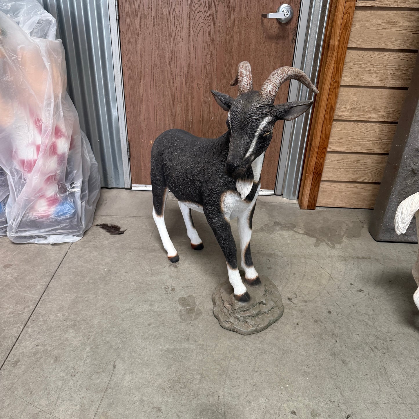Black Billy Goat Statue