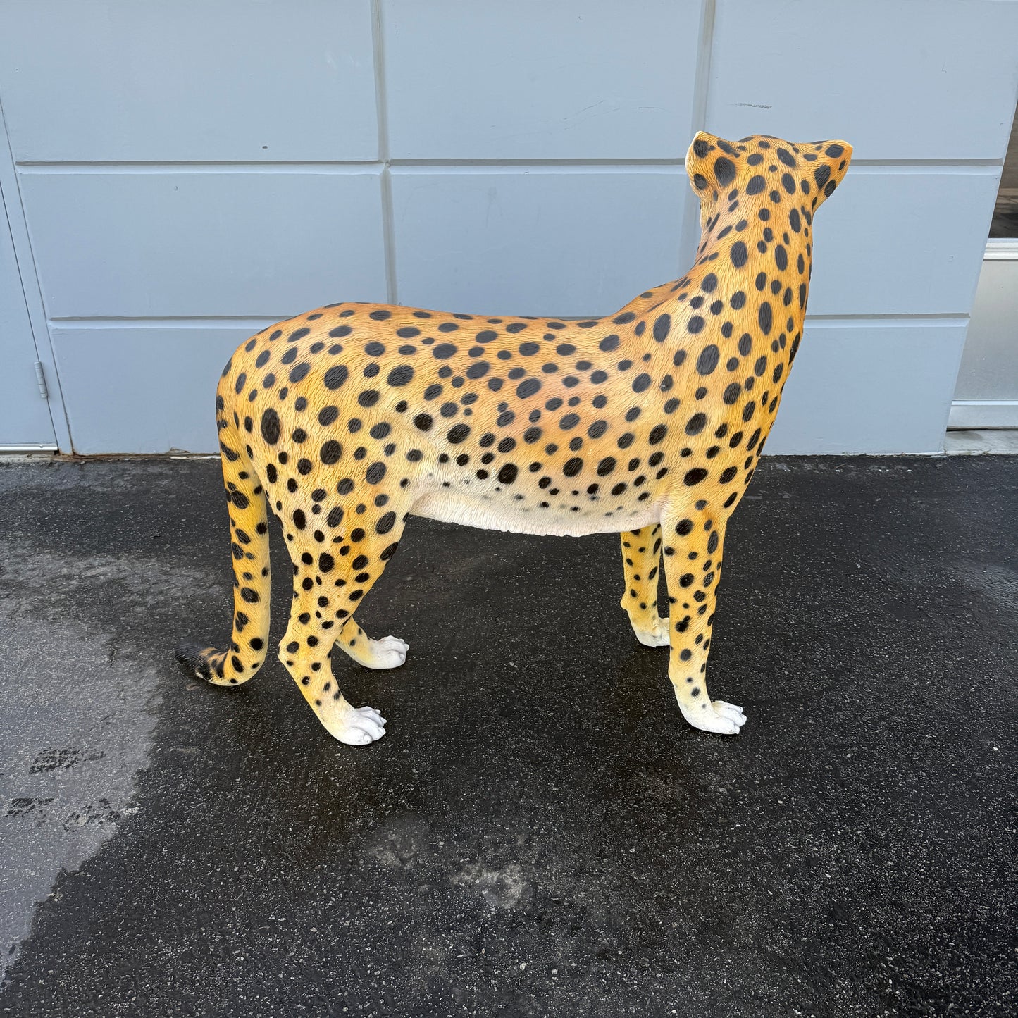 Cheetah Statue