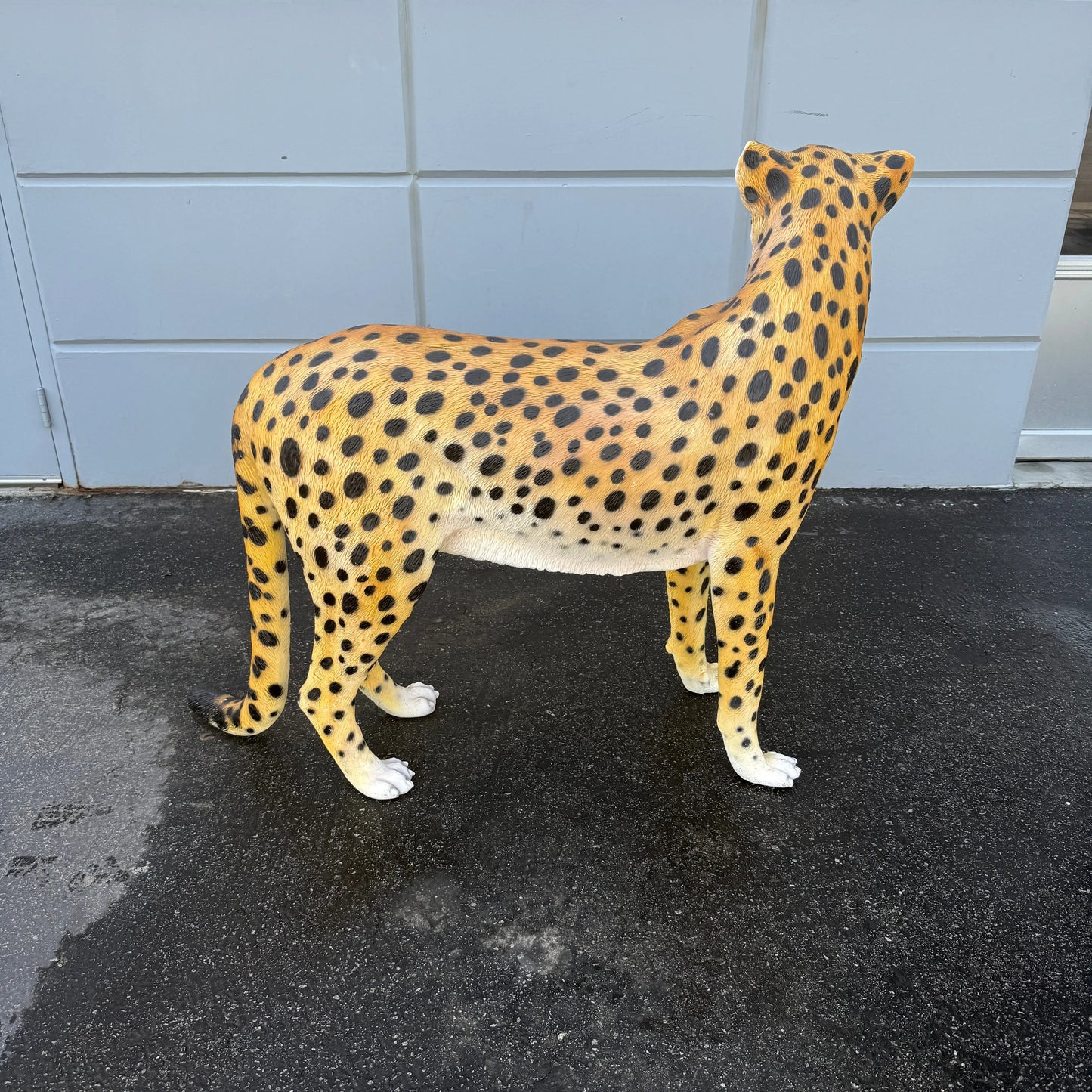 Cheetah Statue A0792-3479-A