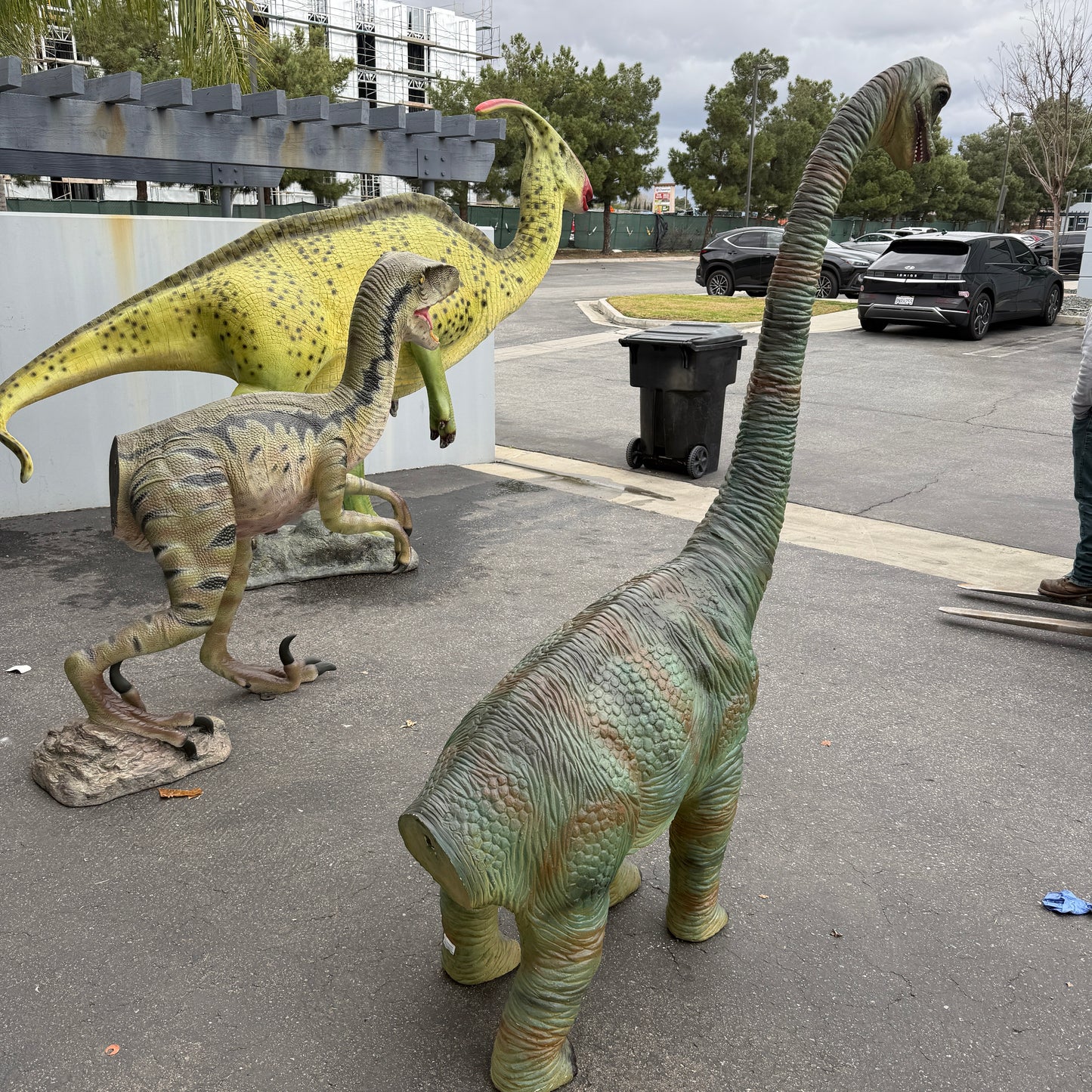 Baby Brachiosaurus Dinosaur Statue