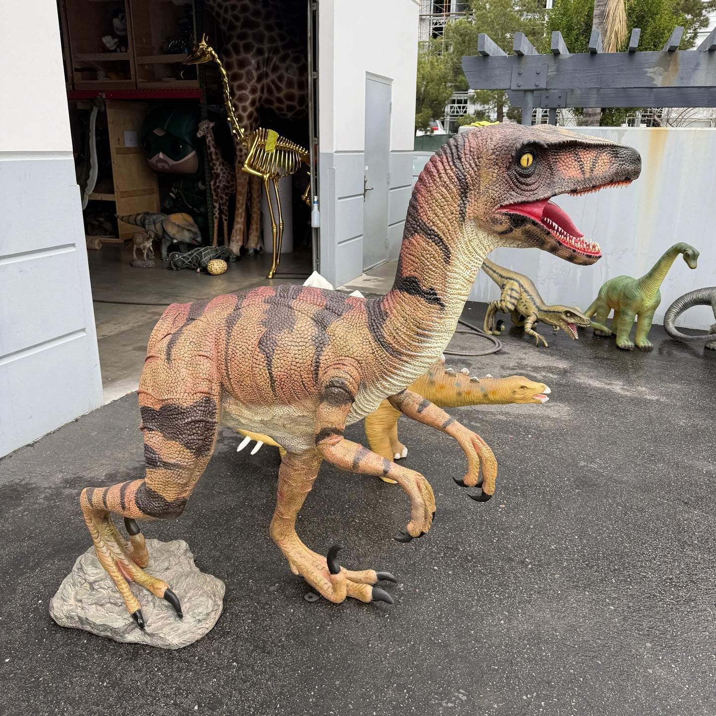Brown Velociraptor Dinosaur Life Size Statue A0275GC-110015-H