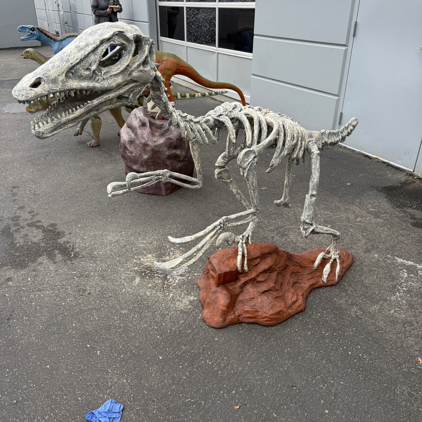 Deinonychus Dinosaur Skeleton Statue