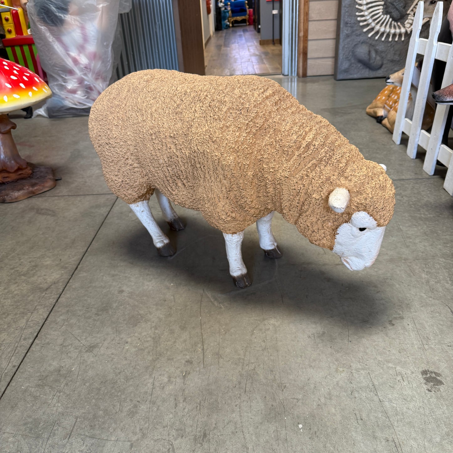 Merino Ewe Head Down Statue