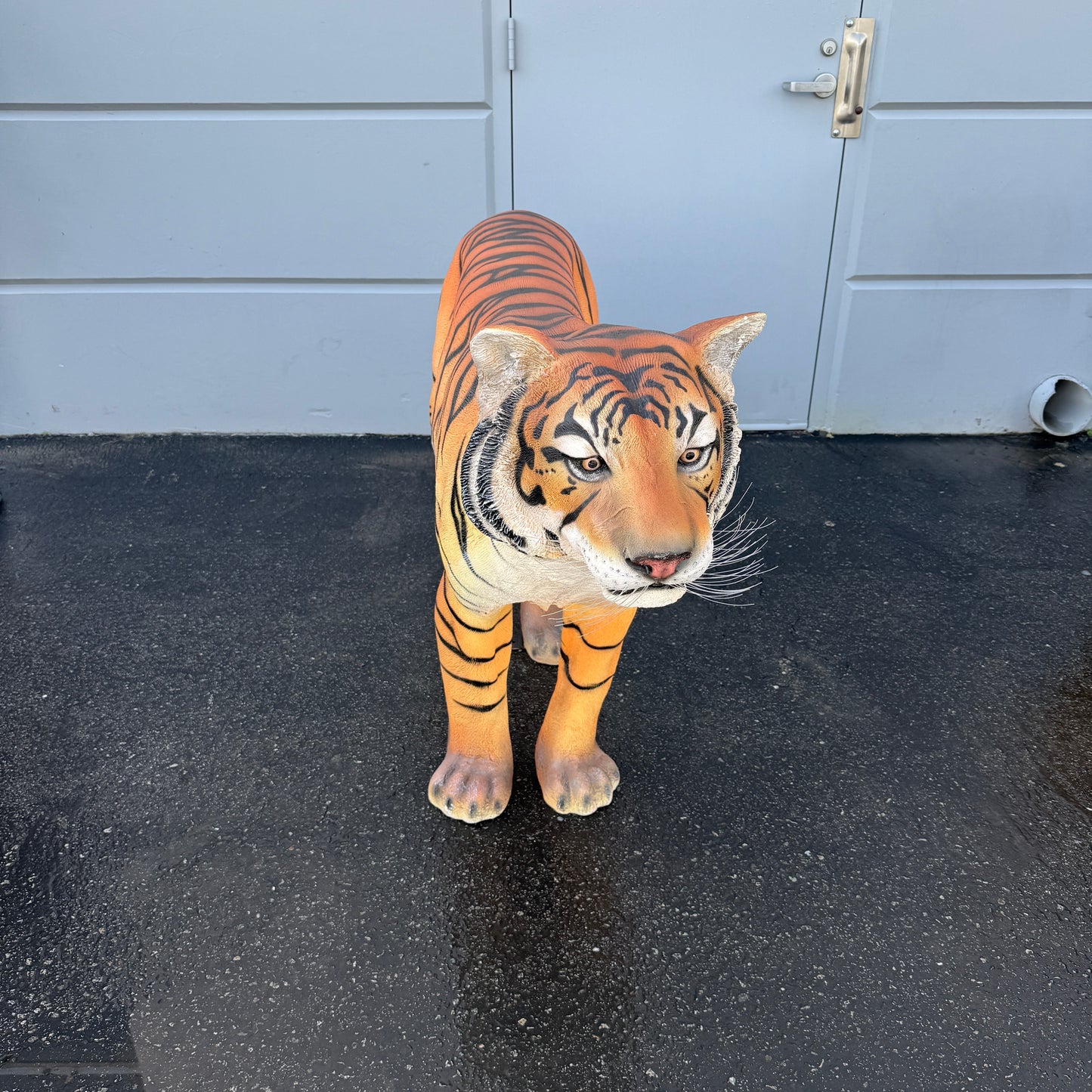 Sumatran Tiger Statue