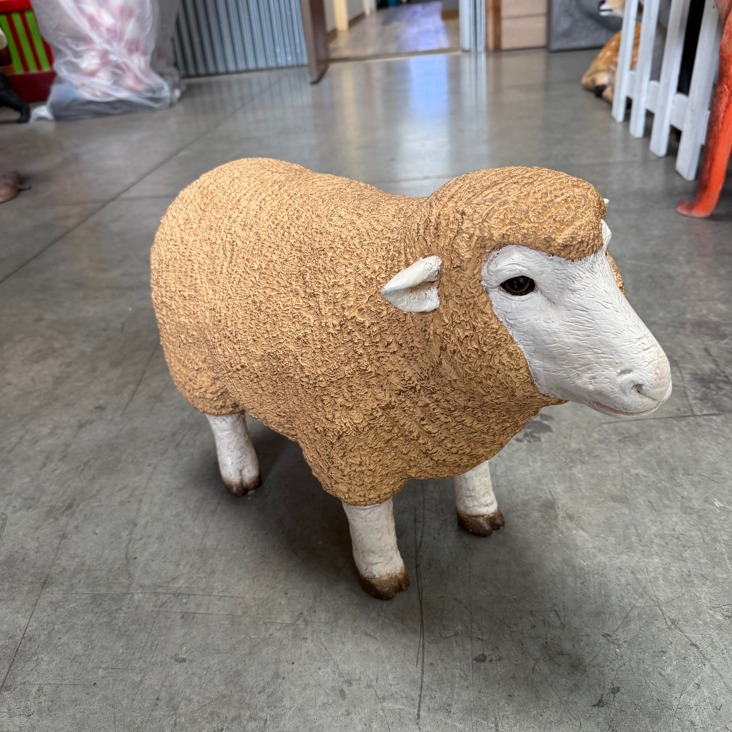 Baby Merino Ewe Statue