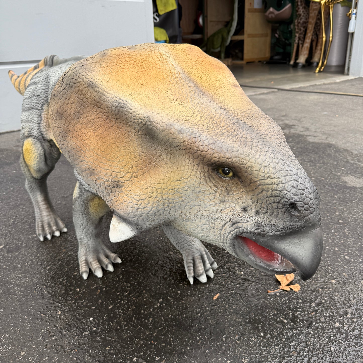 Protoceratops Dinosaur Statue