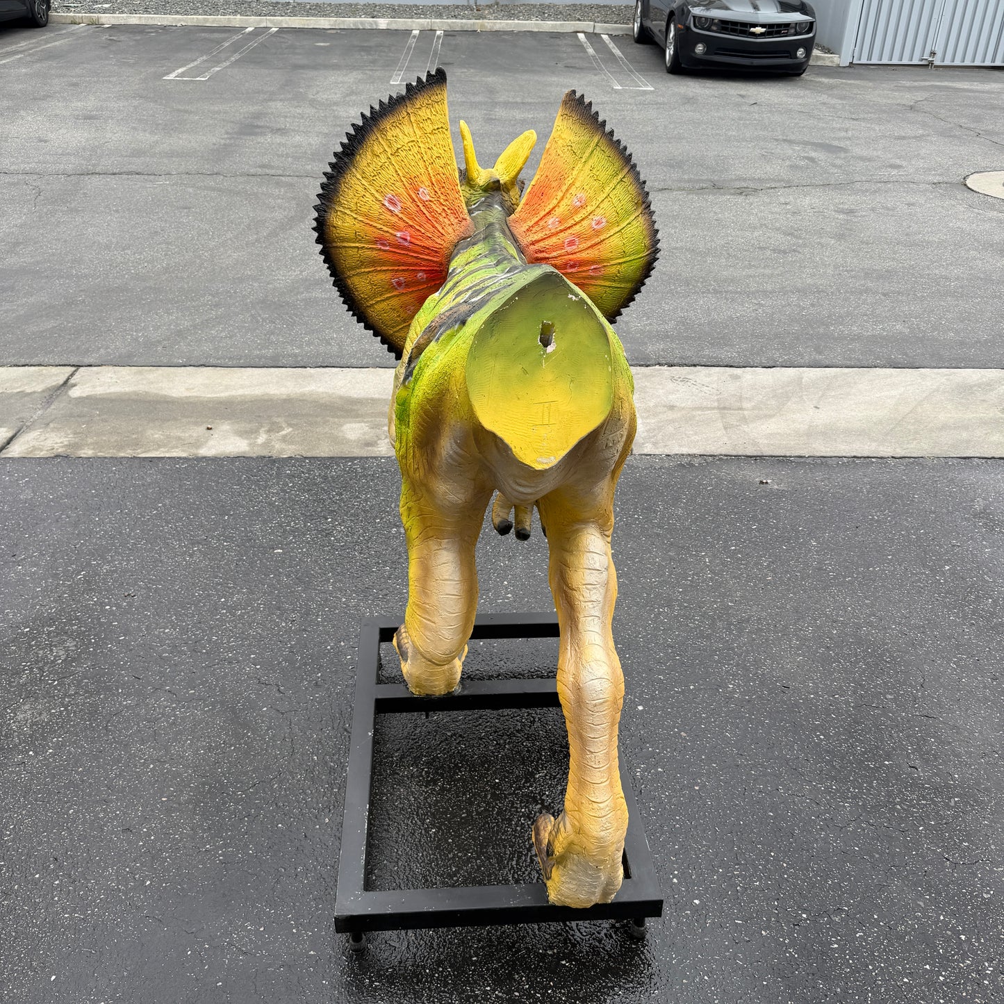 Venenifer with Dorsal Fin Dinosaur Life Size Statue