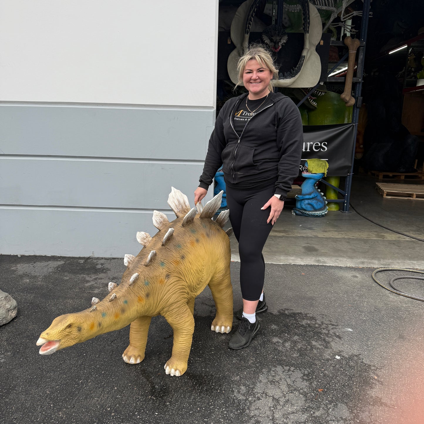 Medium Stegosaurus Dinosaur Statue