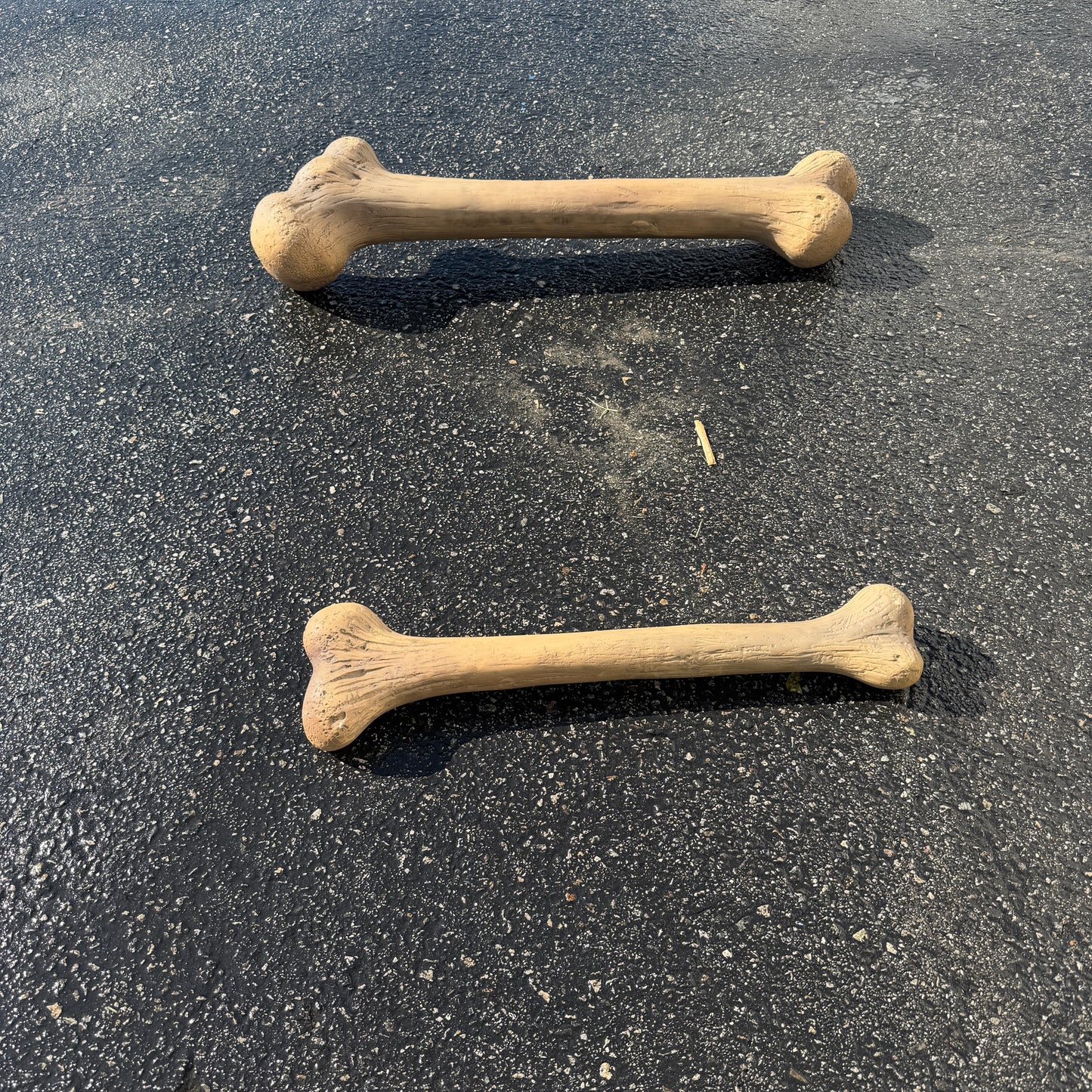 Small Dinosaur Bone Statue