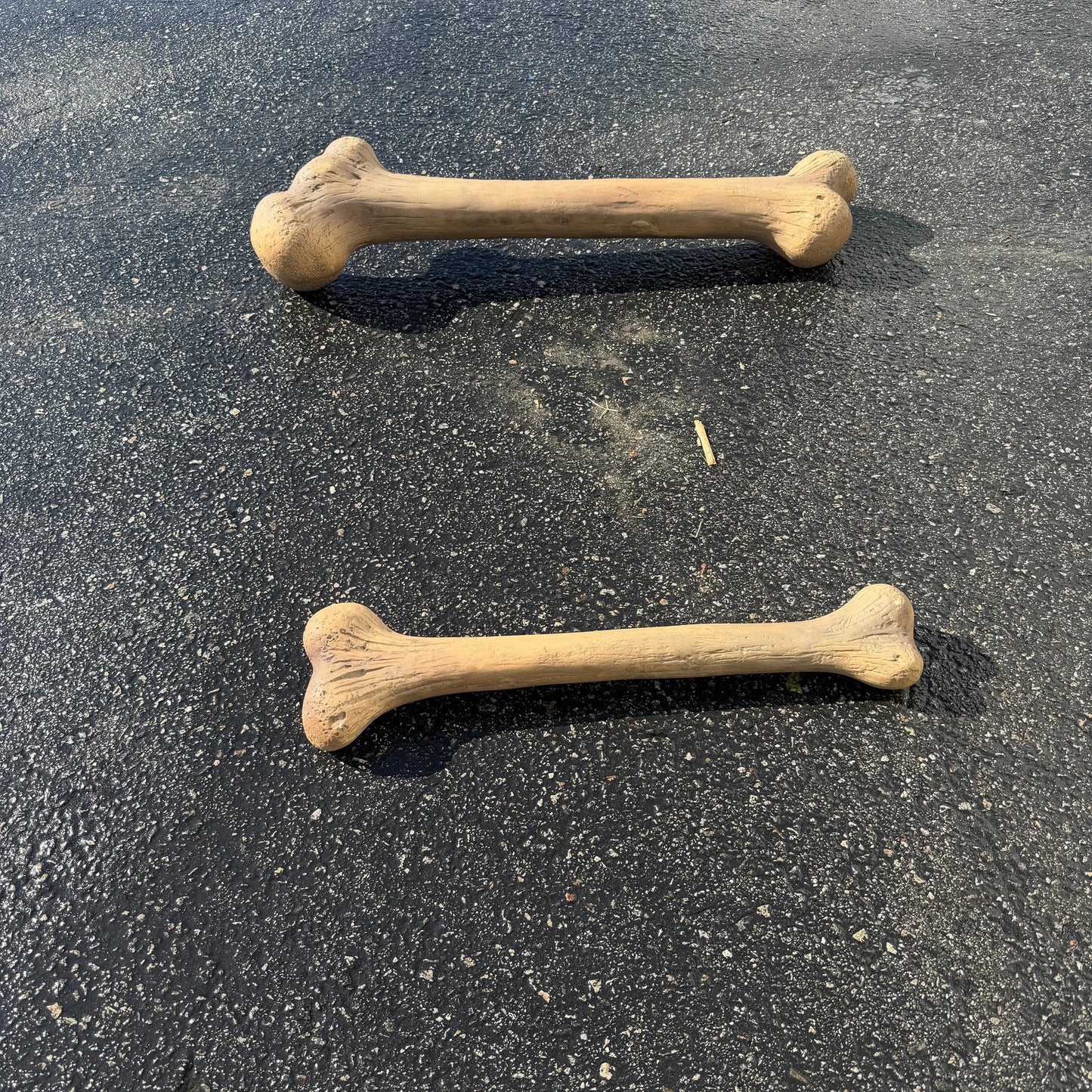 Small Dinosaur Bone Statue A0584-R042-PT