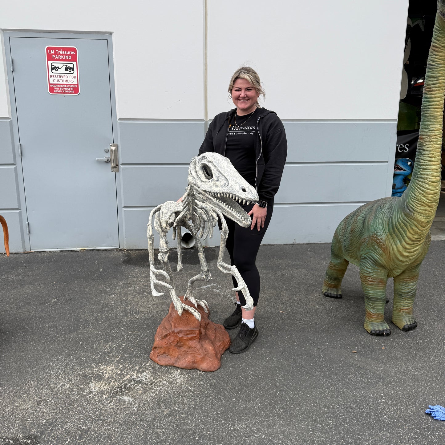 Deinonychus Dinosaur Skeleton Statue