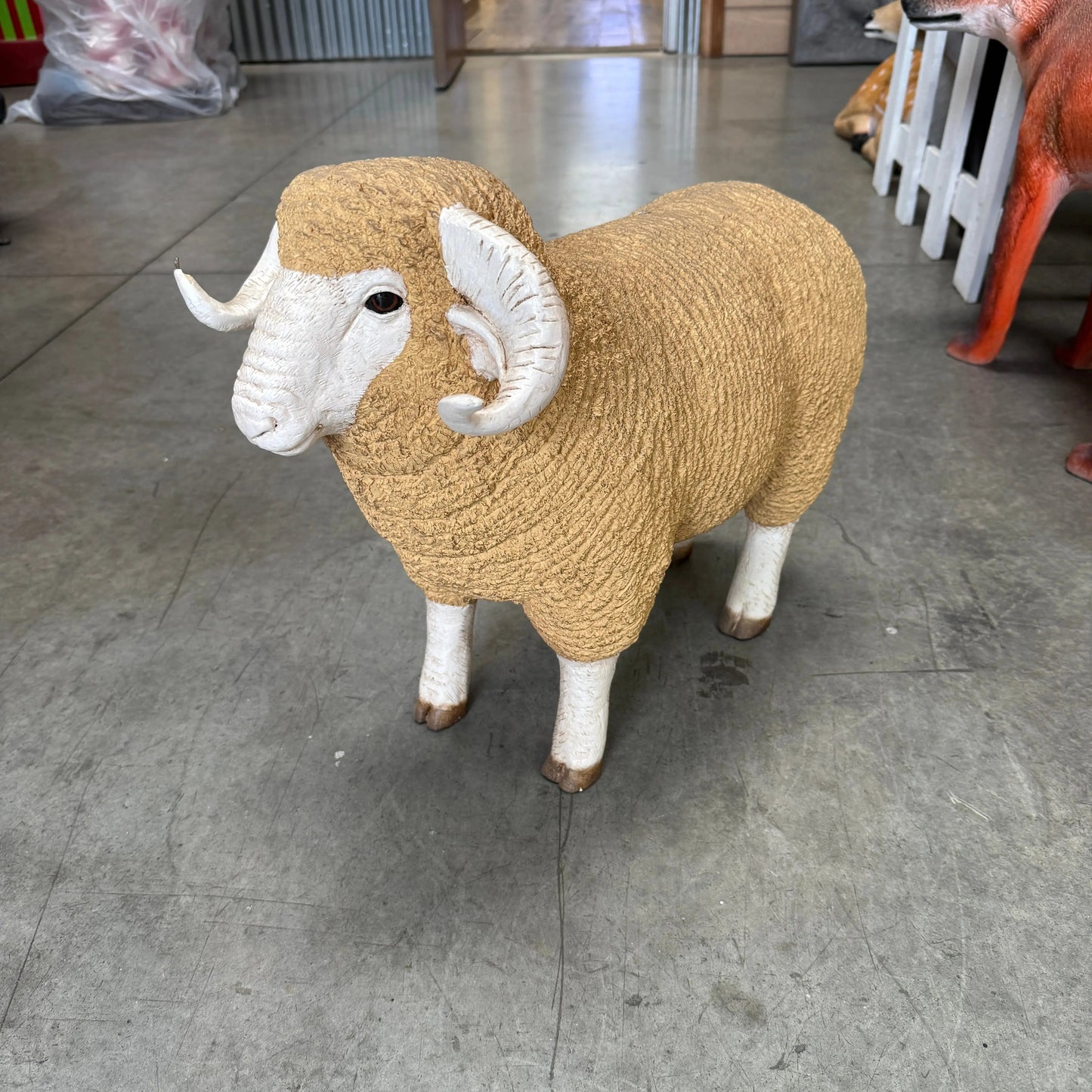 Baby Merino Ram Statue A0287-110128-H