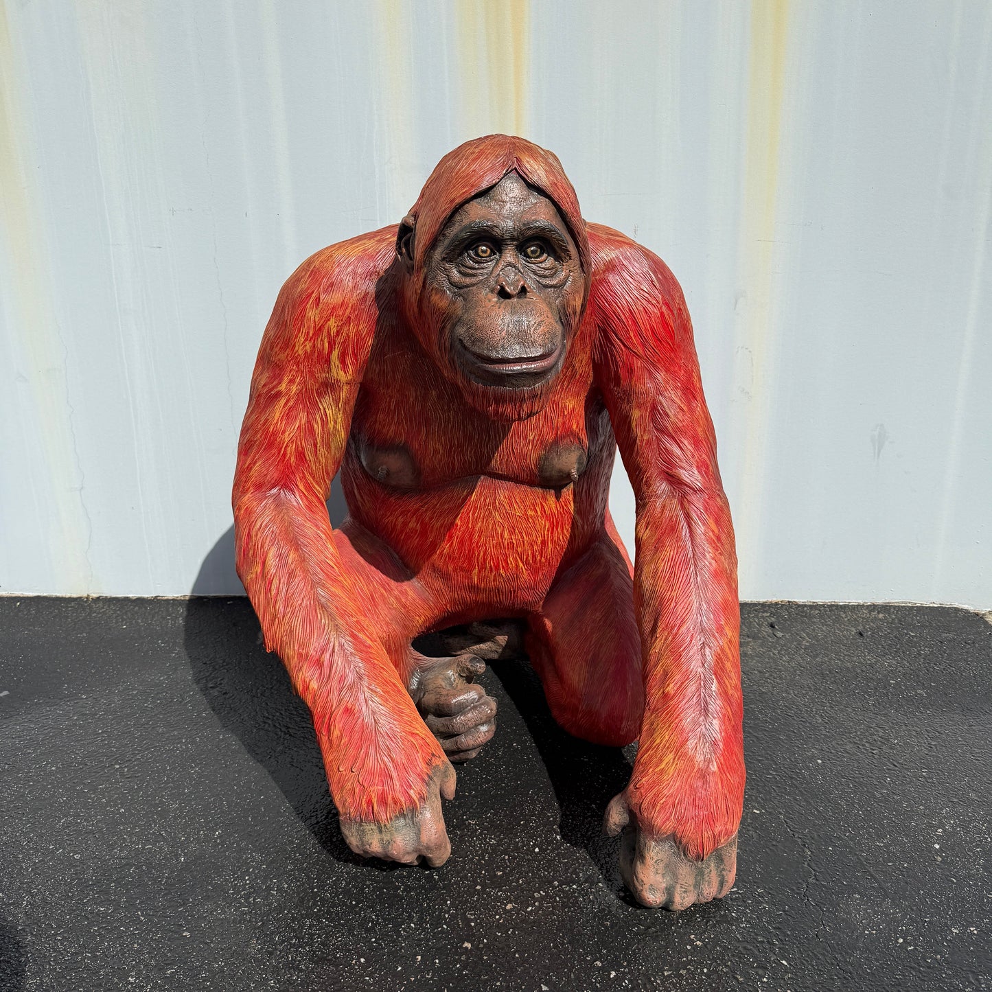 Orangutan Statue A0766-R014-PT