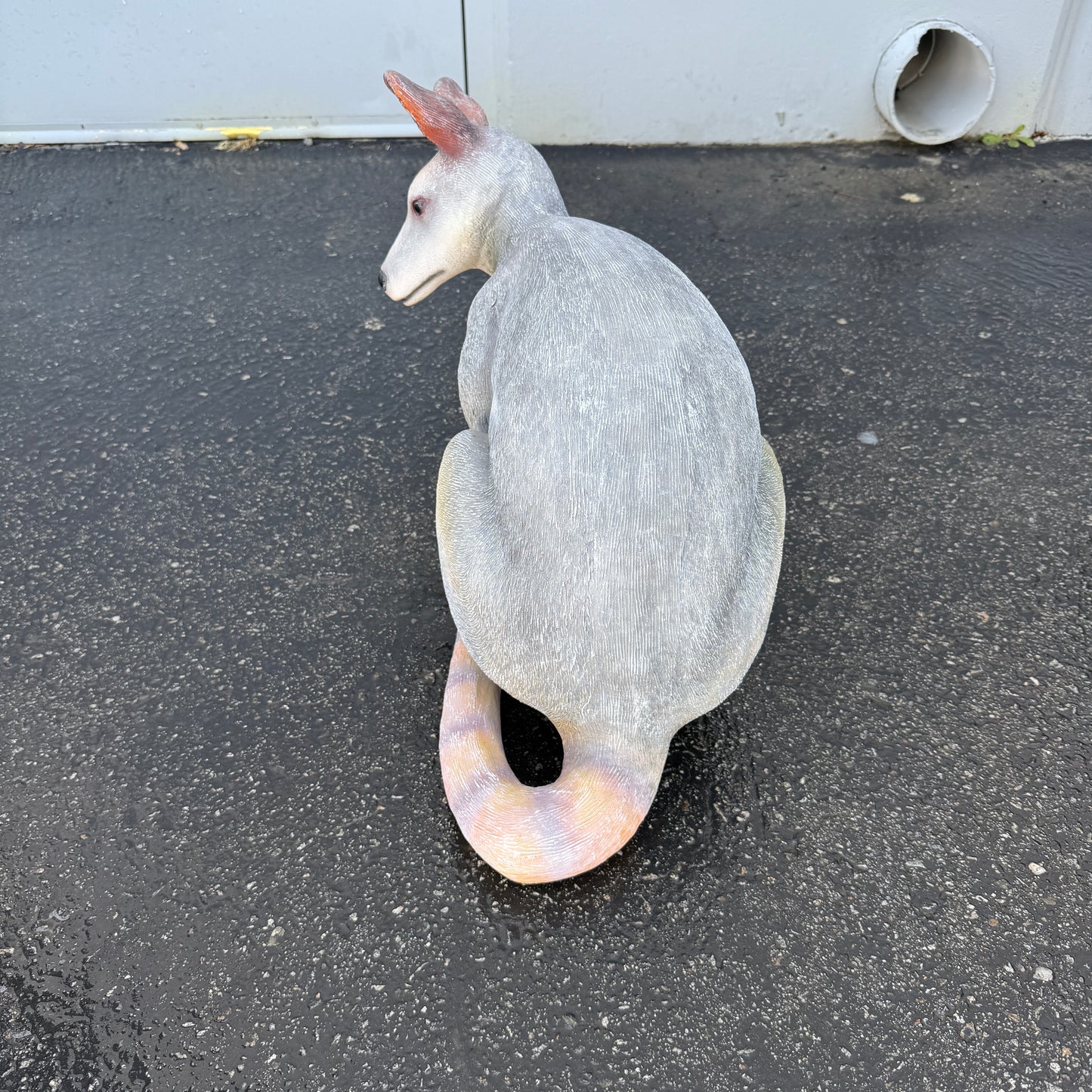 Crouching Wallaby Kangaroo Statue