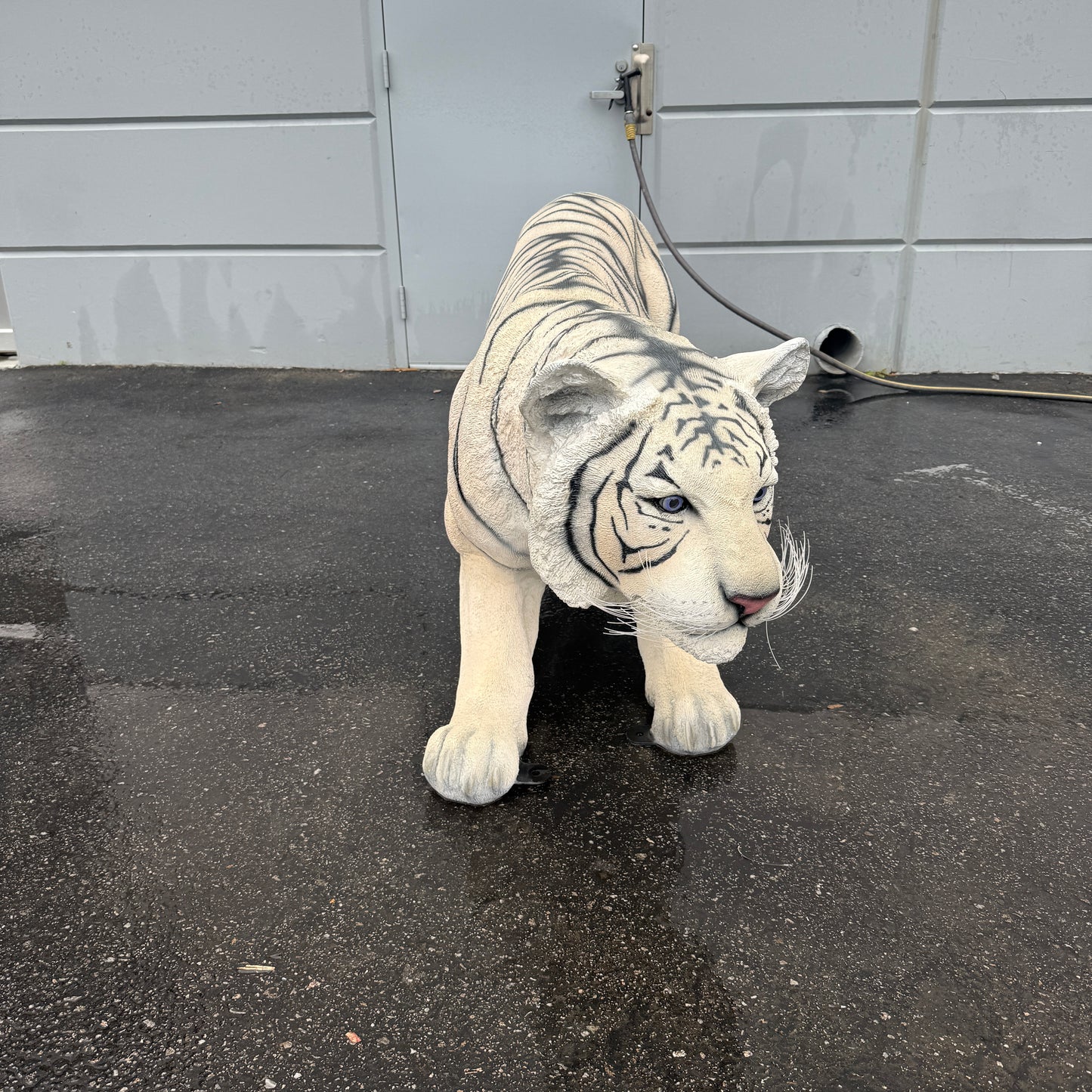 Crouching Siberian Tiger Statue