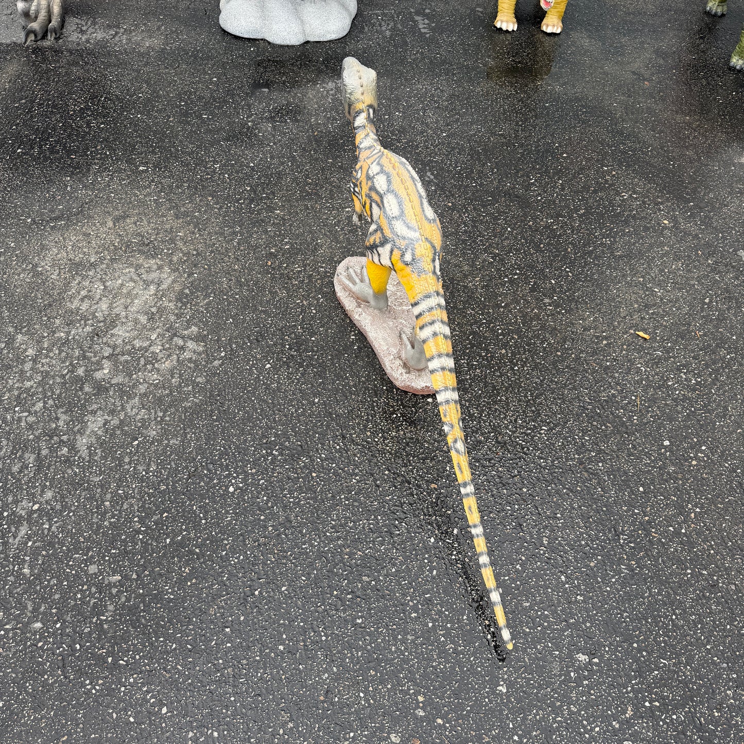 Baby Australovenator Life Size Statue