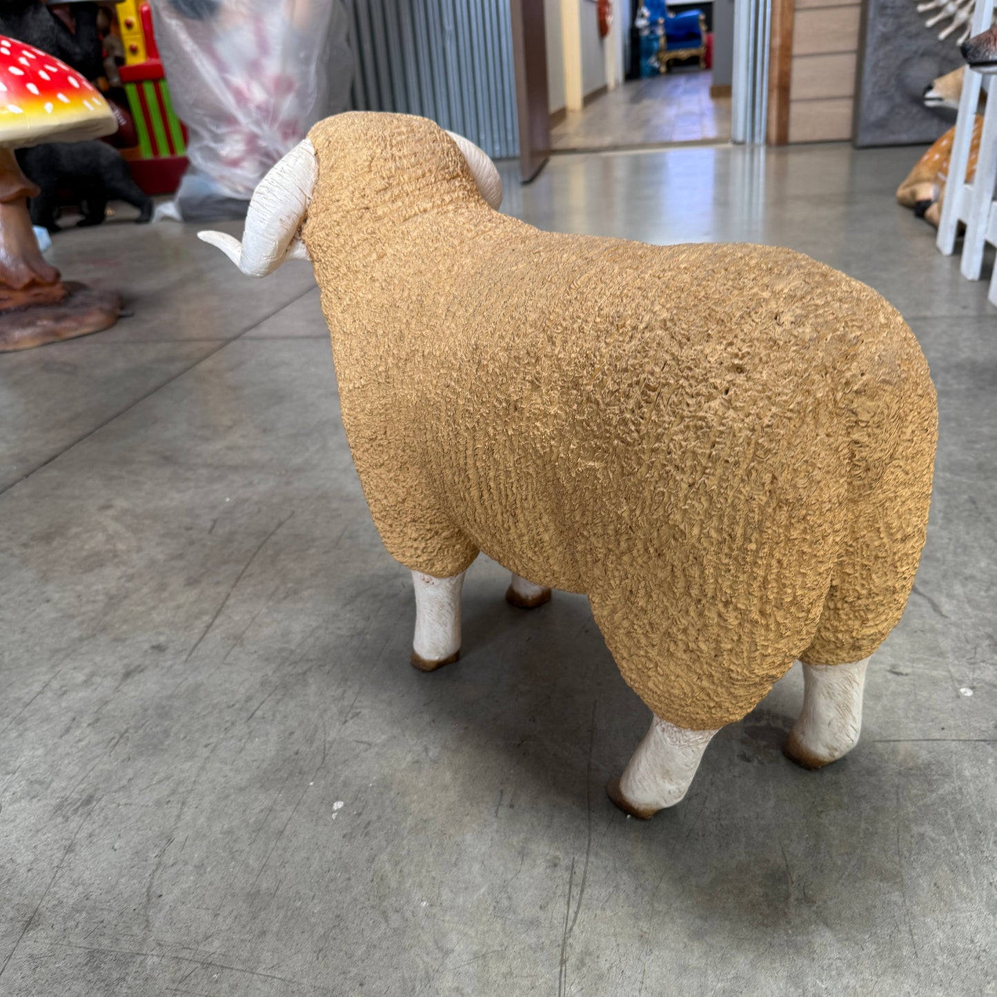 Baby Merino Ram Statue