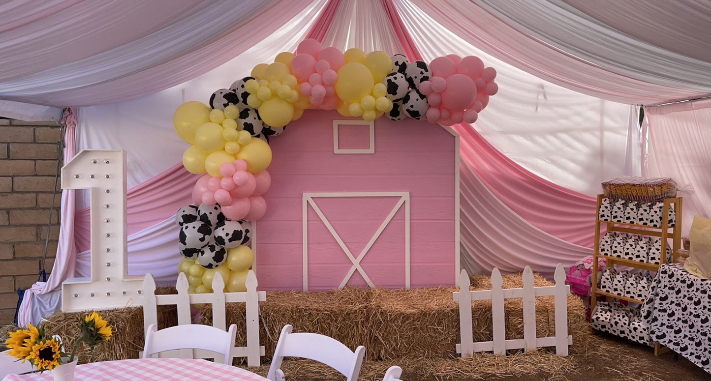 Barn Backdrop