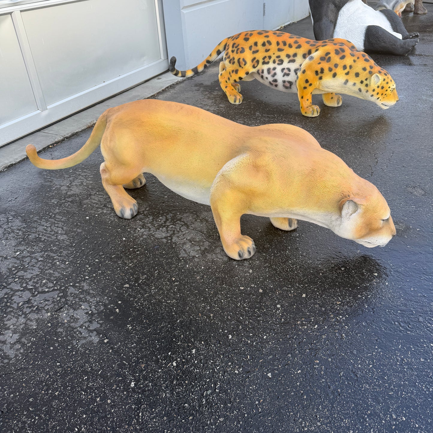 Cougar Crouching Statue