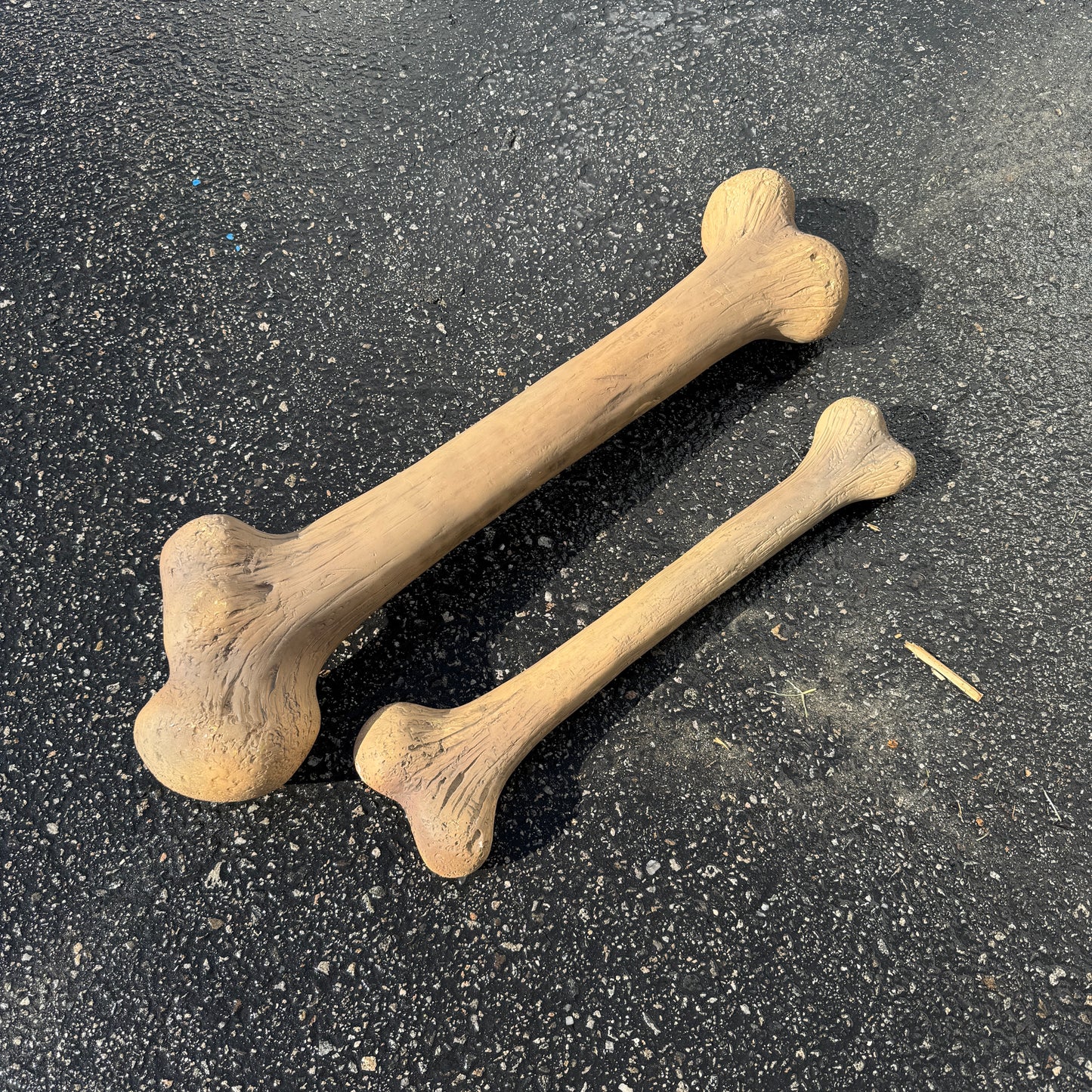 Small Dinosaur Bone Statue