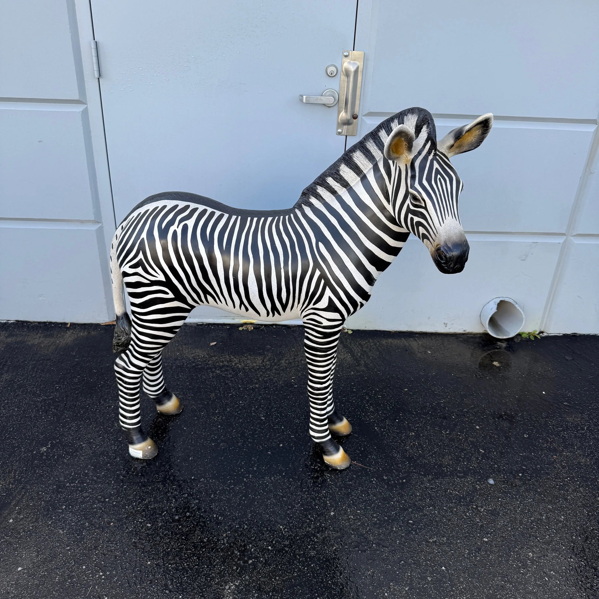 Baby Zebra Statue A0227-110099-H