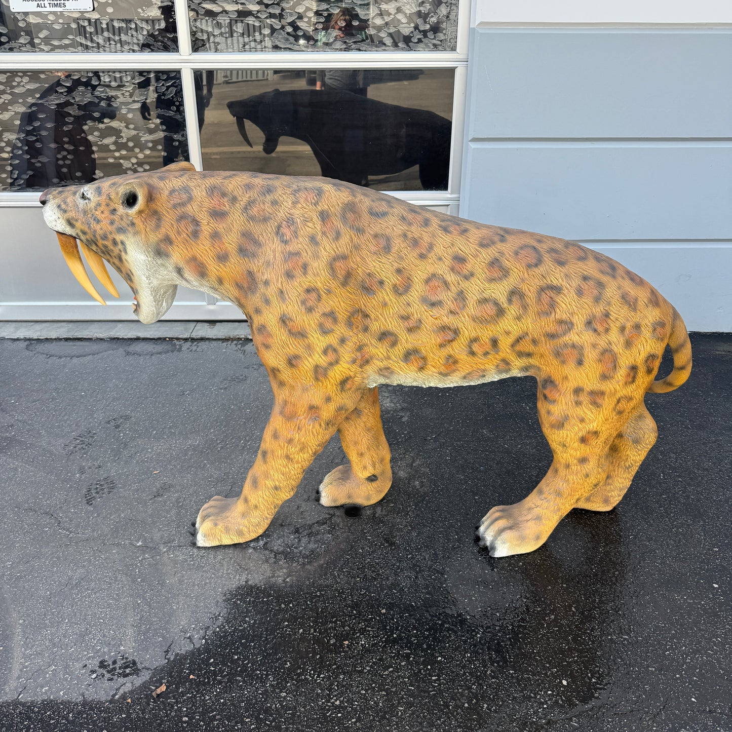 Smilodon Saber Tooth Statue