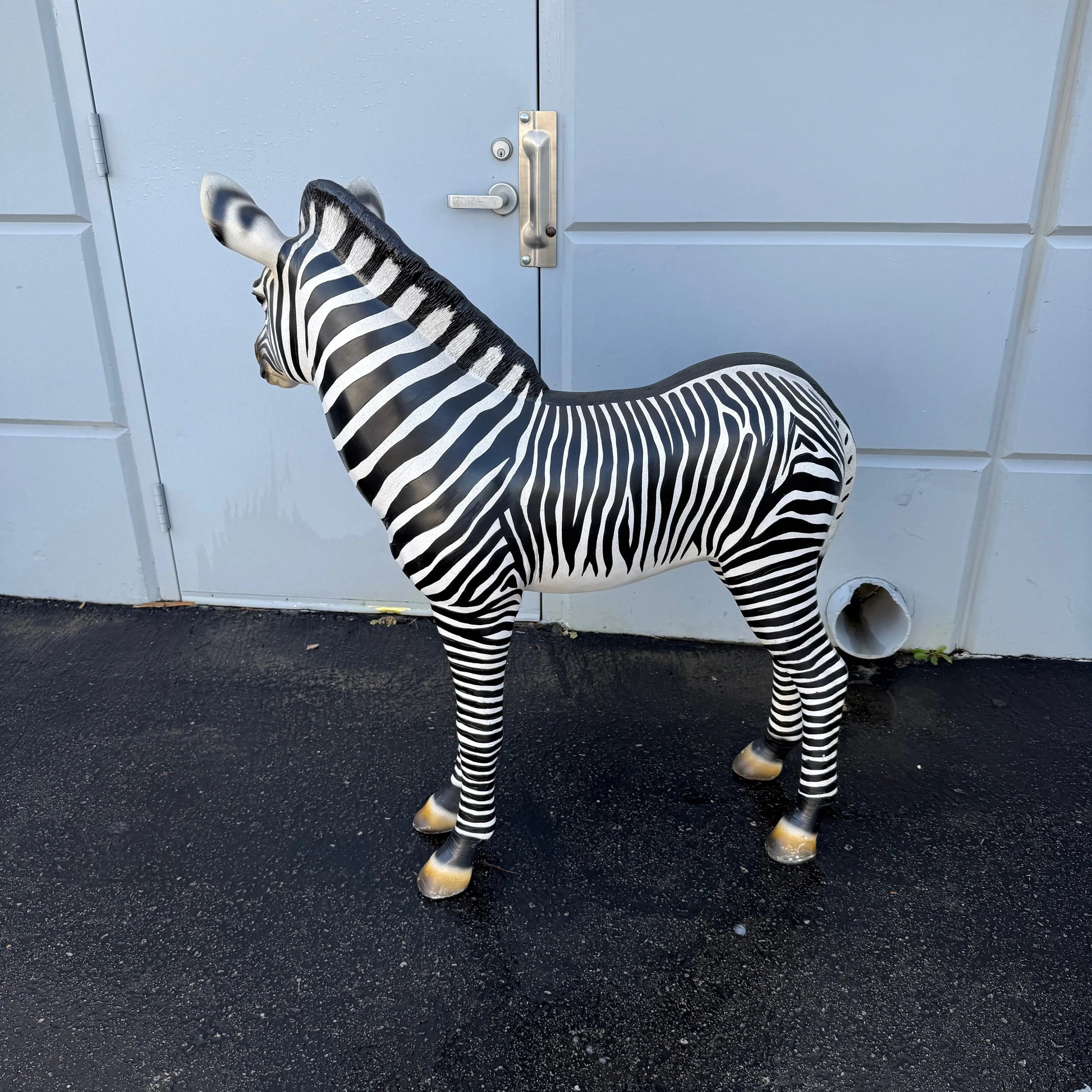 Baby Zebra Statue A0227-110099-H
