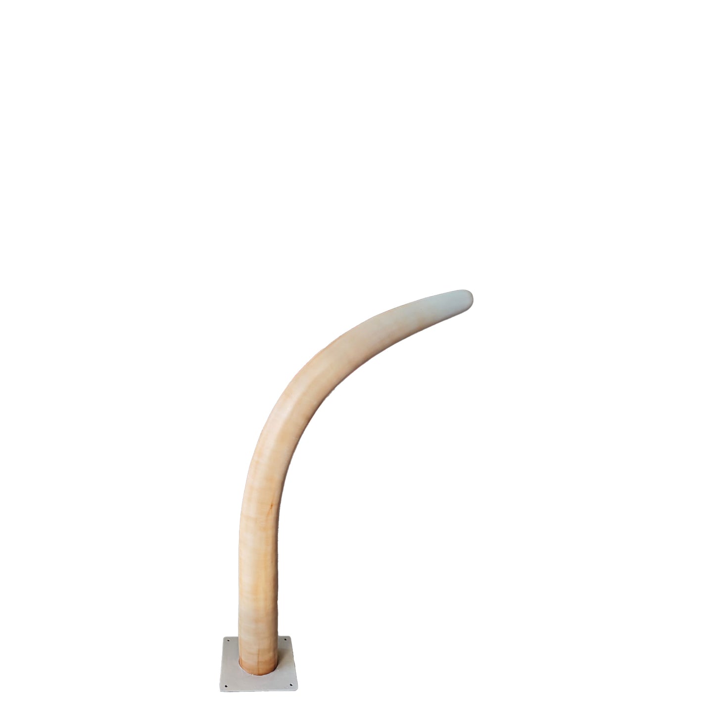 Medium Dinosaur Rib Archway Statue