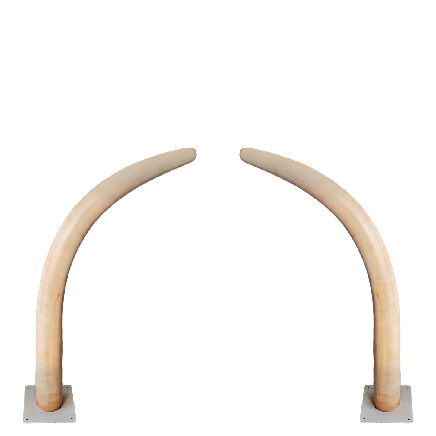 Medium Dinosaur Rib Archway Statue