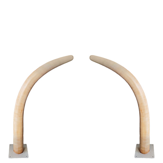 Medium Dinosaur Rib Archway Statue