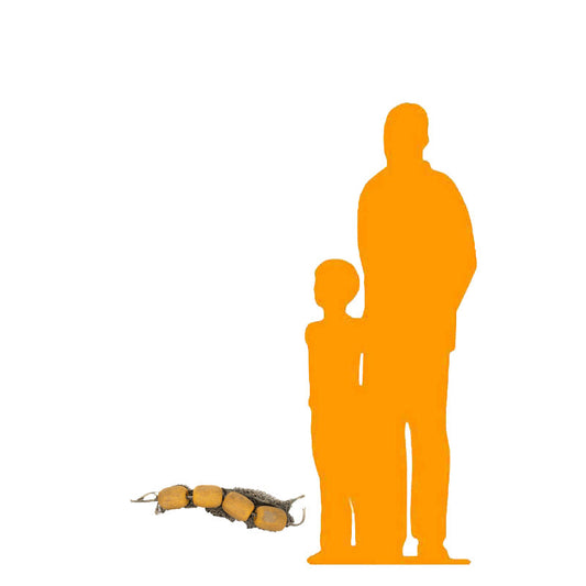 Buoys and Net Set of 4 4BUOYS