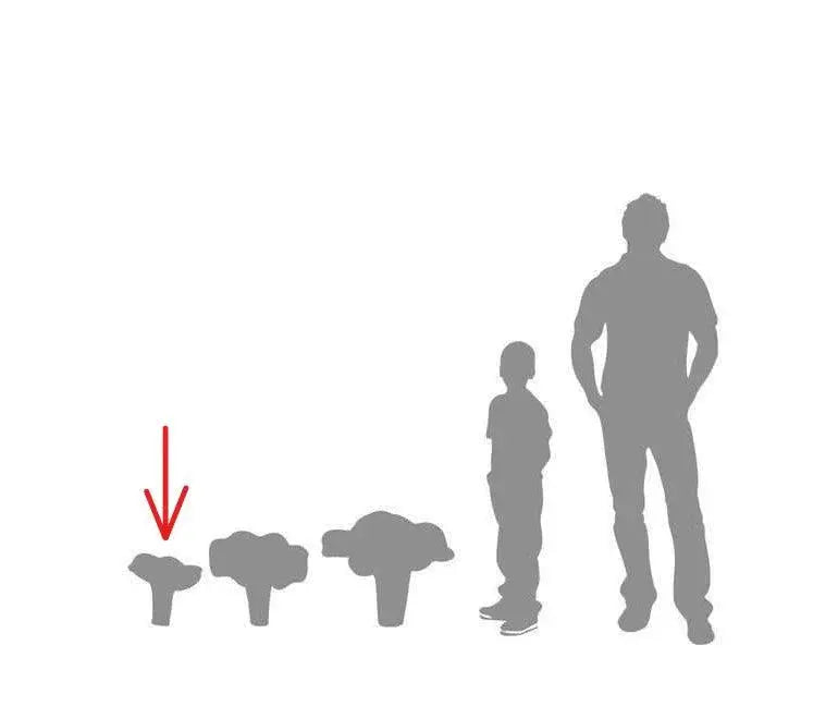 Small Chanterelle Mushroom Statue M0170-2107-T