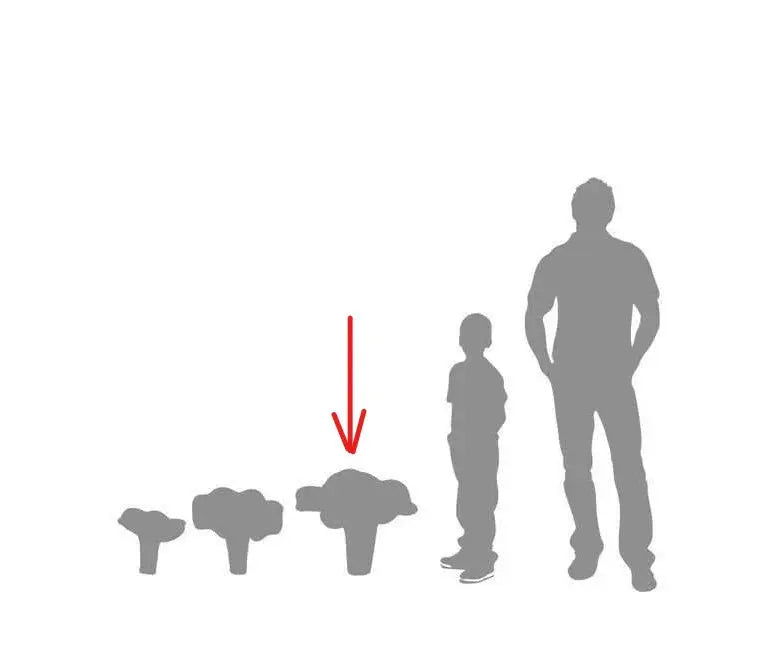 Large Chanterelle Mushroom Statue M0172-2109-T