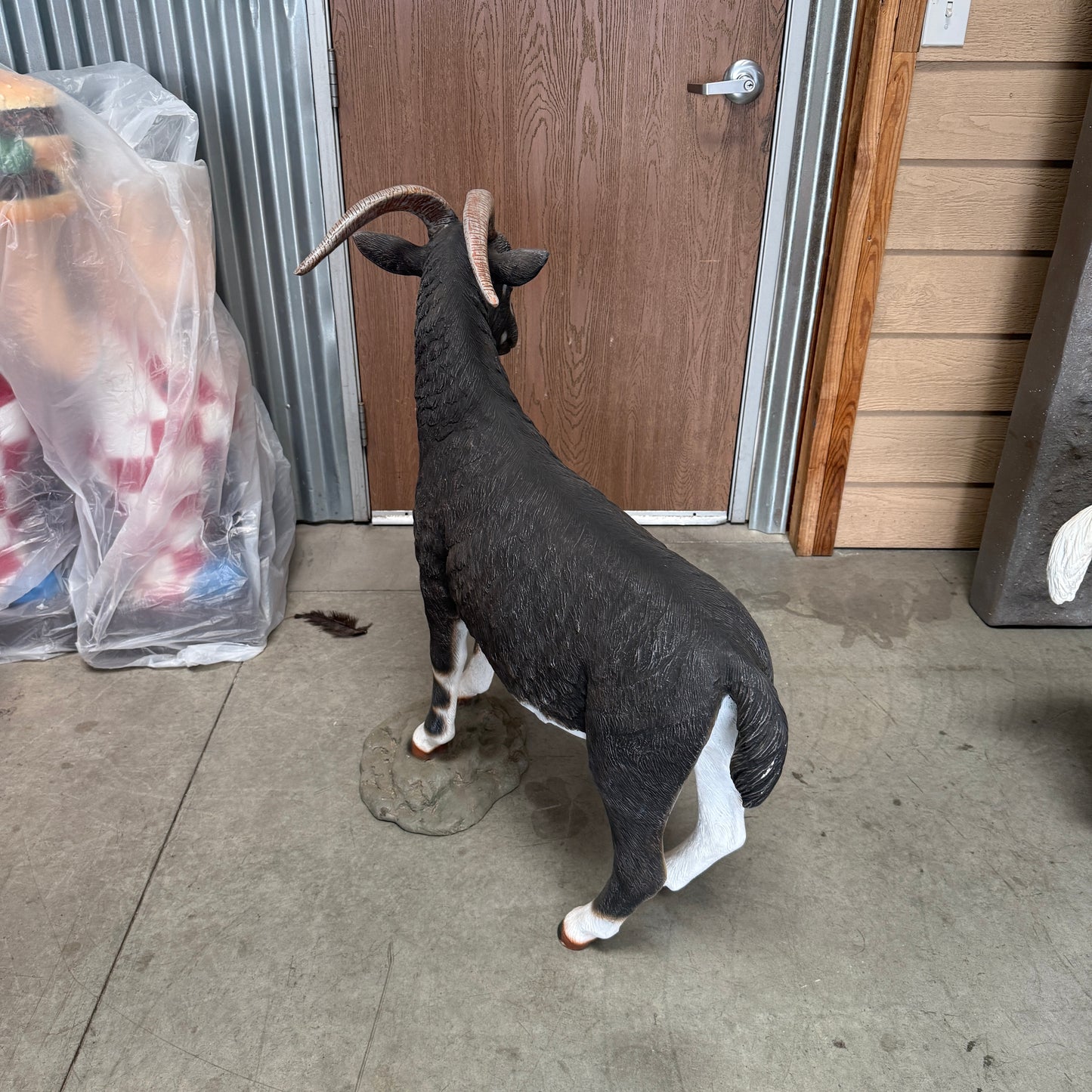 Black Billy Goat Statue