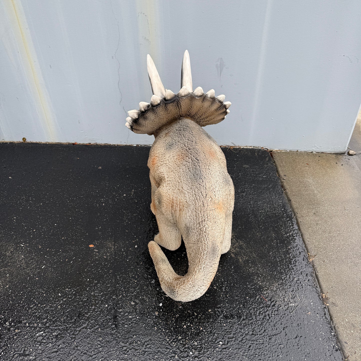 Small Gray Walking Triceratops Dinosaur Statue