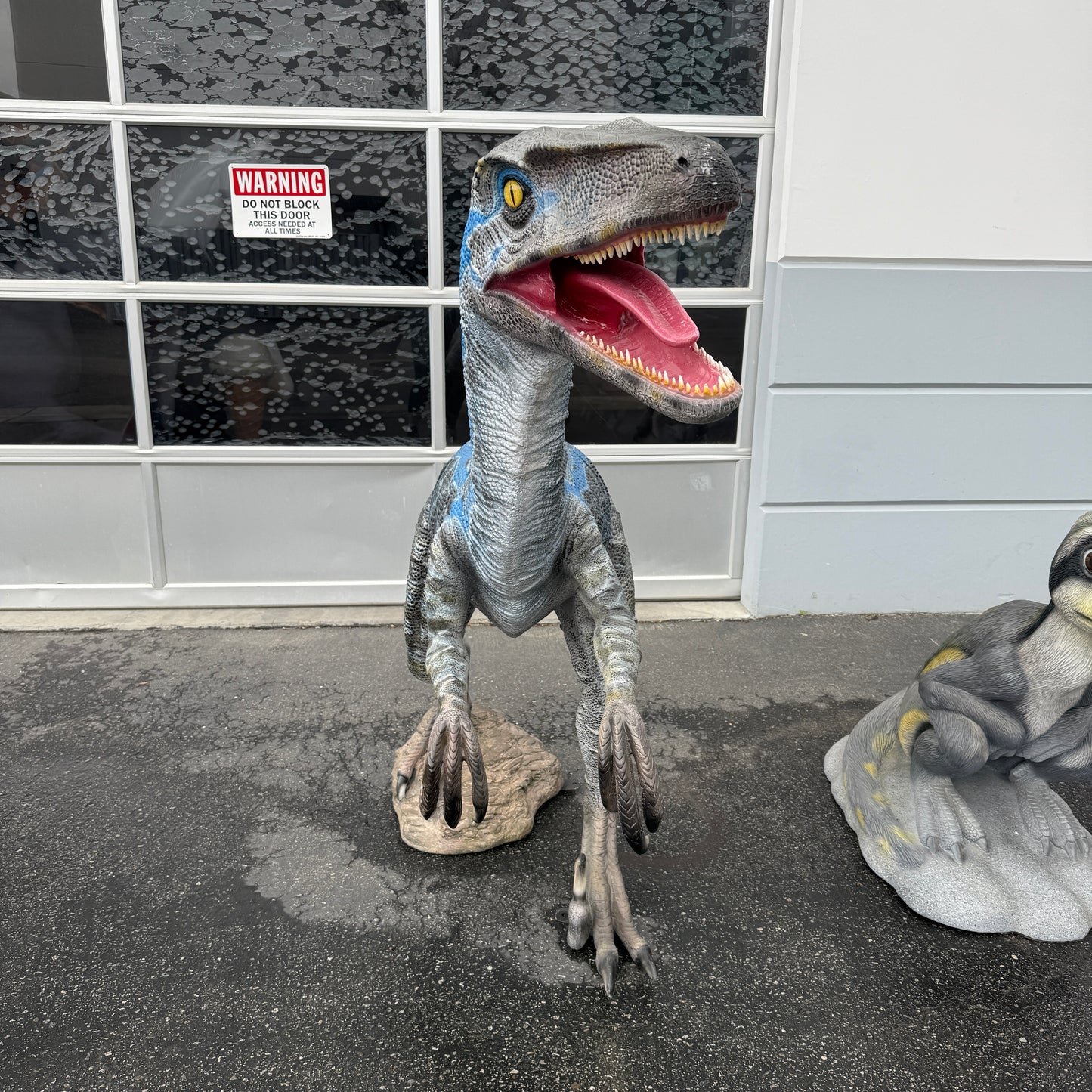 Blue Velociraptor Dinosaur Statue